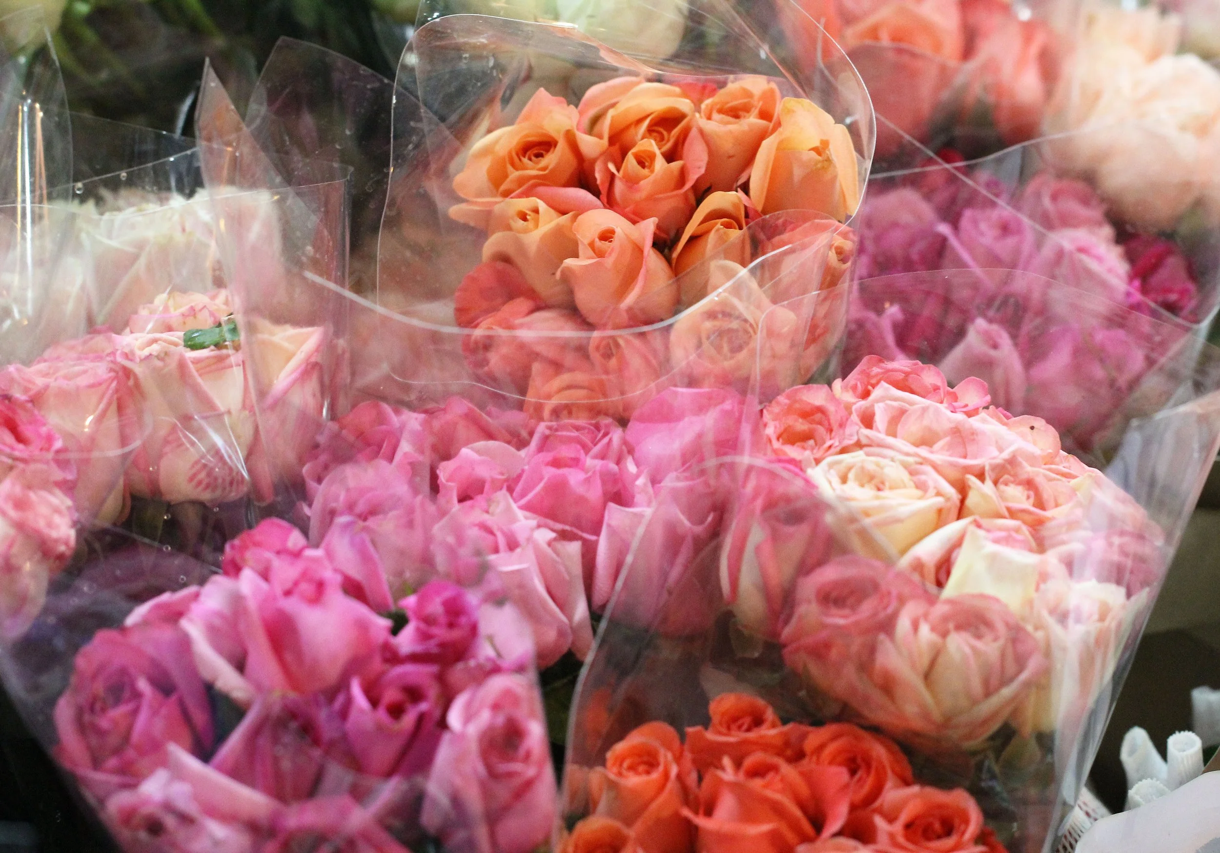 2016 Bangkok Pak Klong Flower Market at 2AM (43).JPG