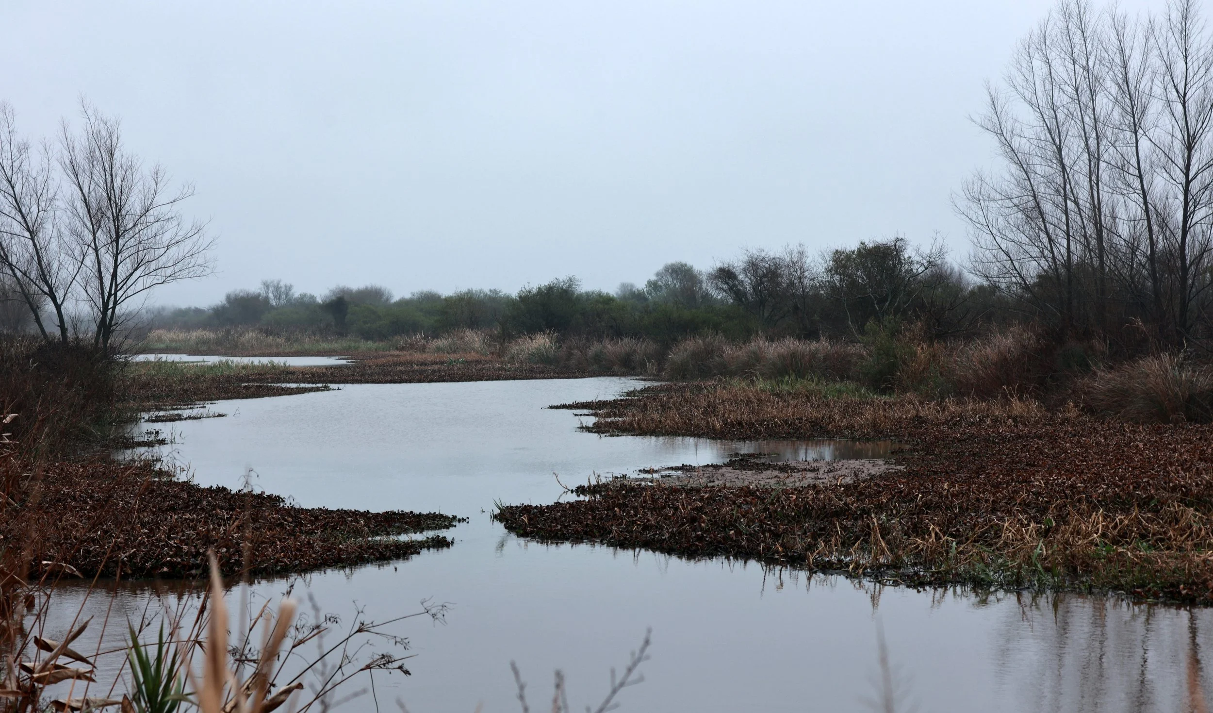 The size of the reserve is difficult to appreciate as one can drive for tens of kilometers and never actually leave the wetlands.