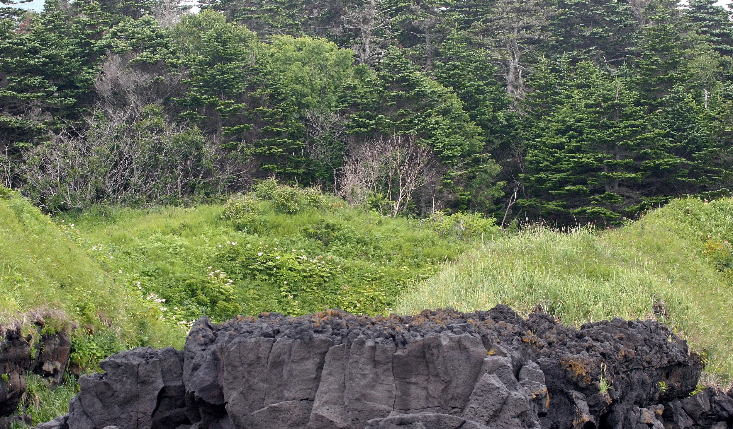 KURIL ISLANDS - VIEWS LANDSCAPES AND GEOLOGY (15).jpg