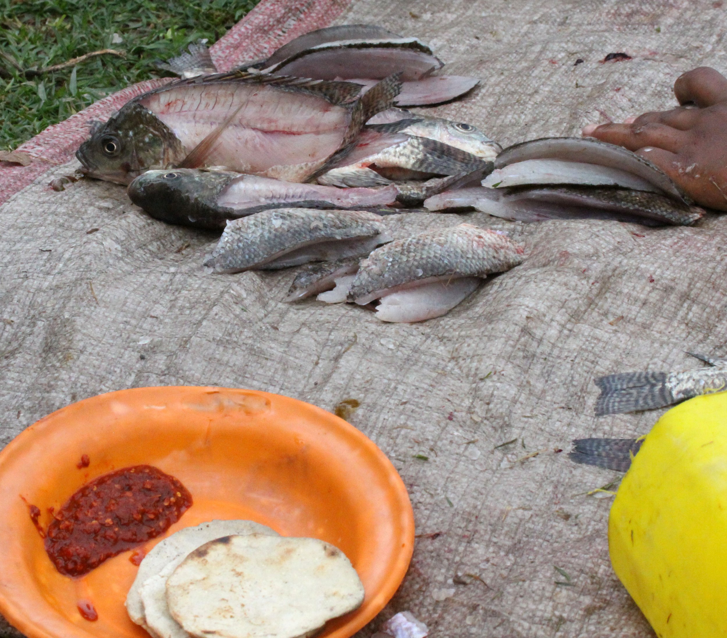 LAKE AWASSA ETHIOPIA (79).JPG