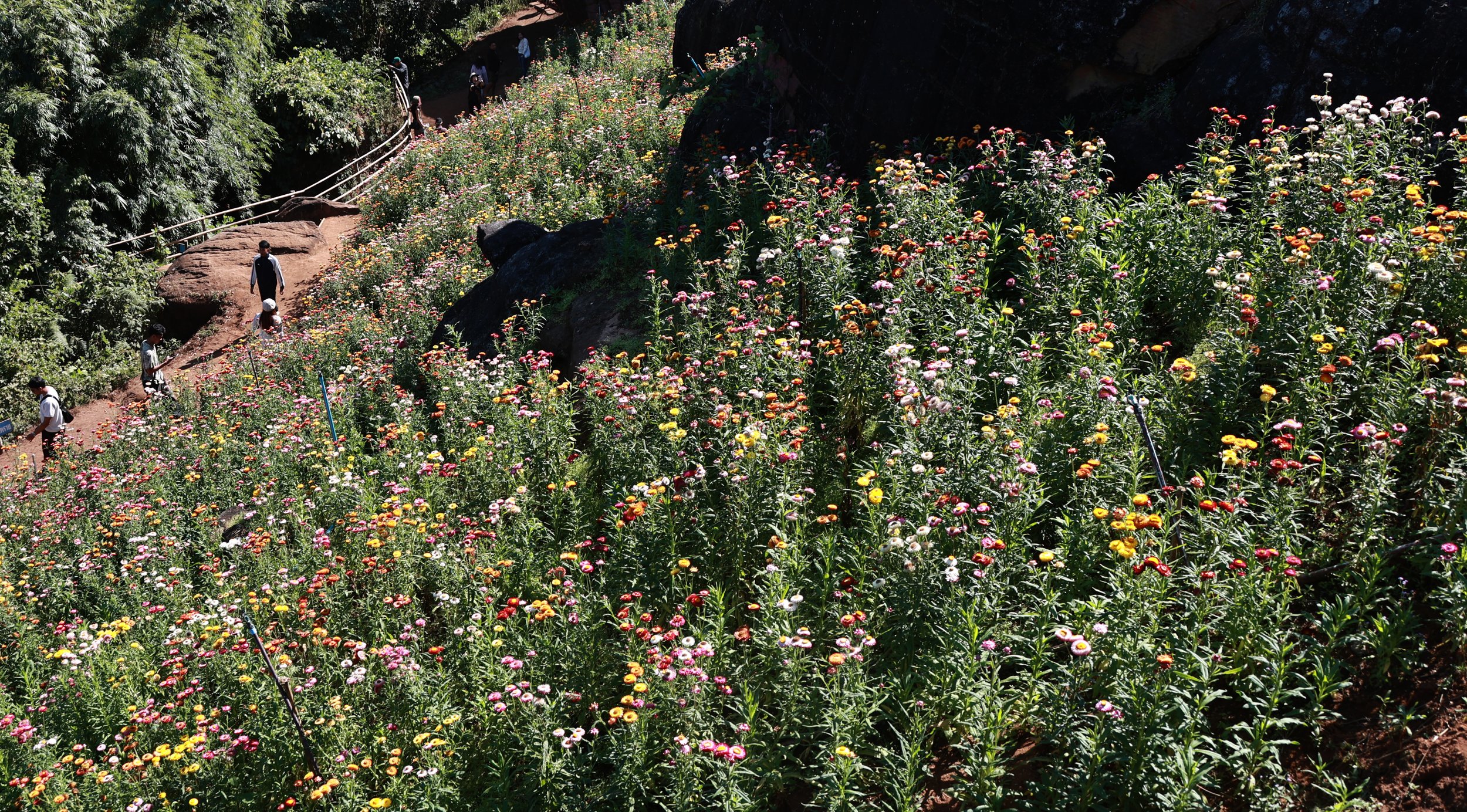 Phu Hin Rong Kla National Park Loei Province (1).jpg