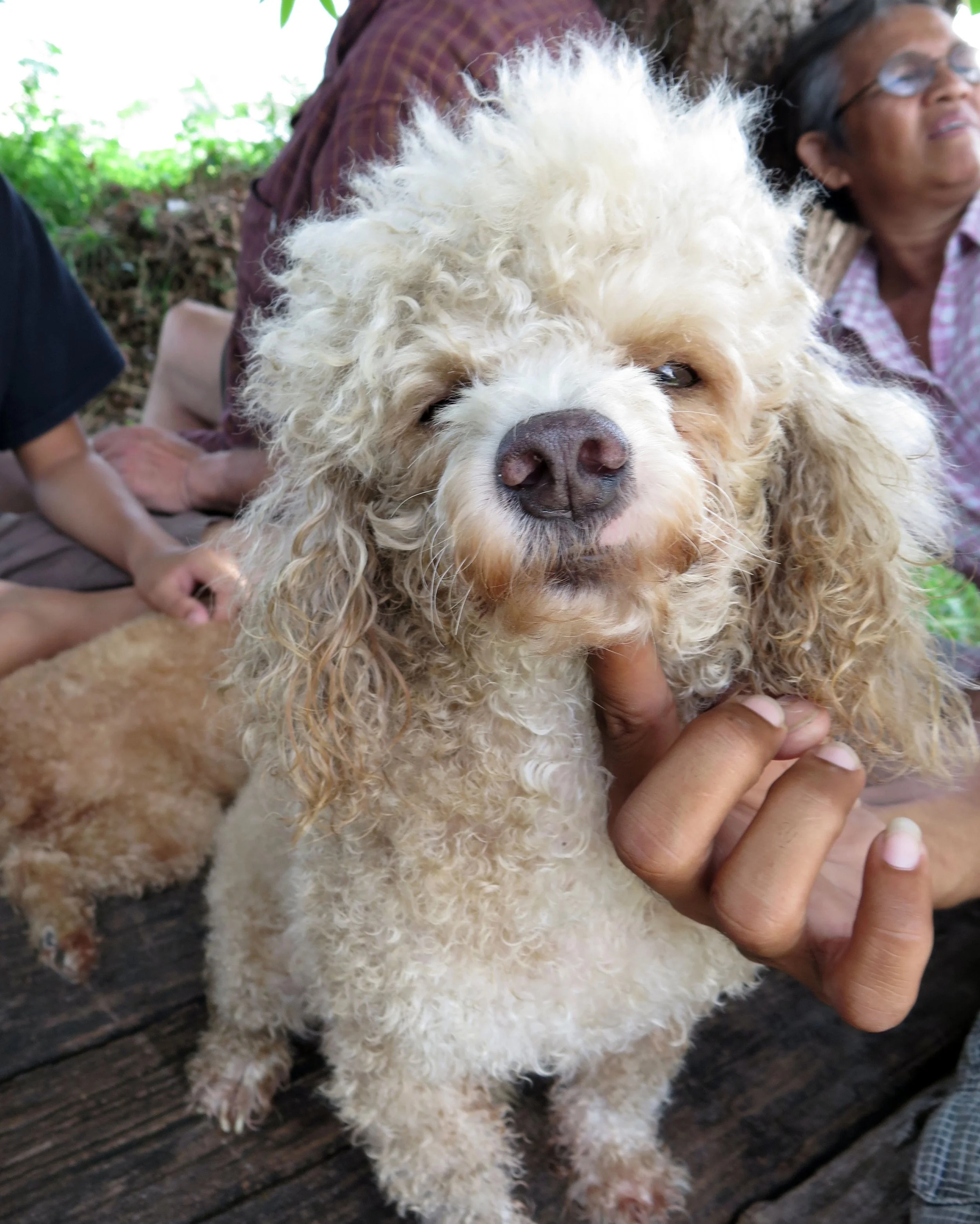 2014 Nakhonsithammarat with Family (56).JPG