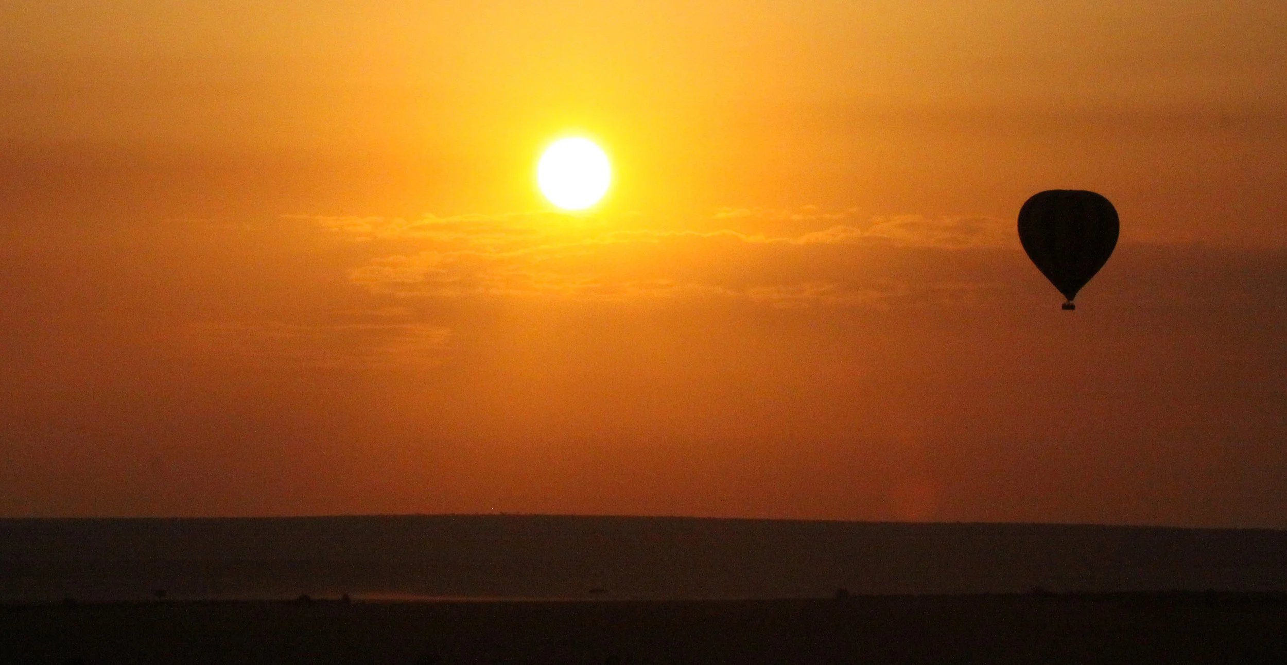 MASAI MARA NATIONAL PARK KENYA (204).JPG