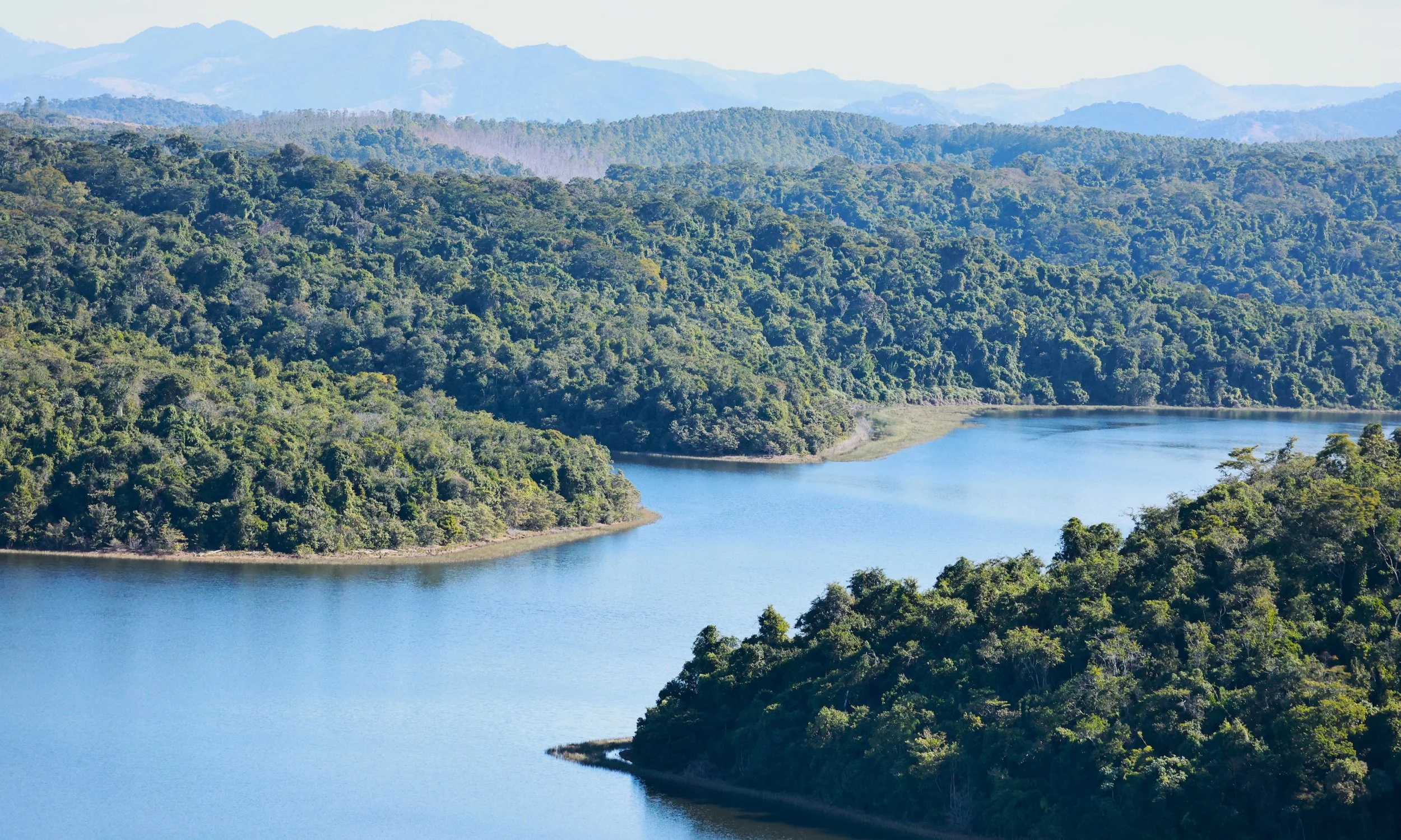 Rio Doce State Park, Minas Gerais, Brazil (38).JPG