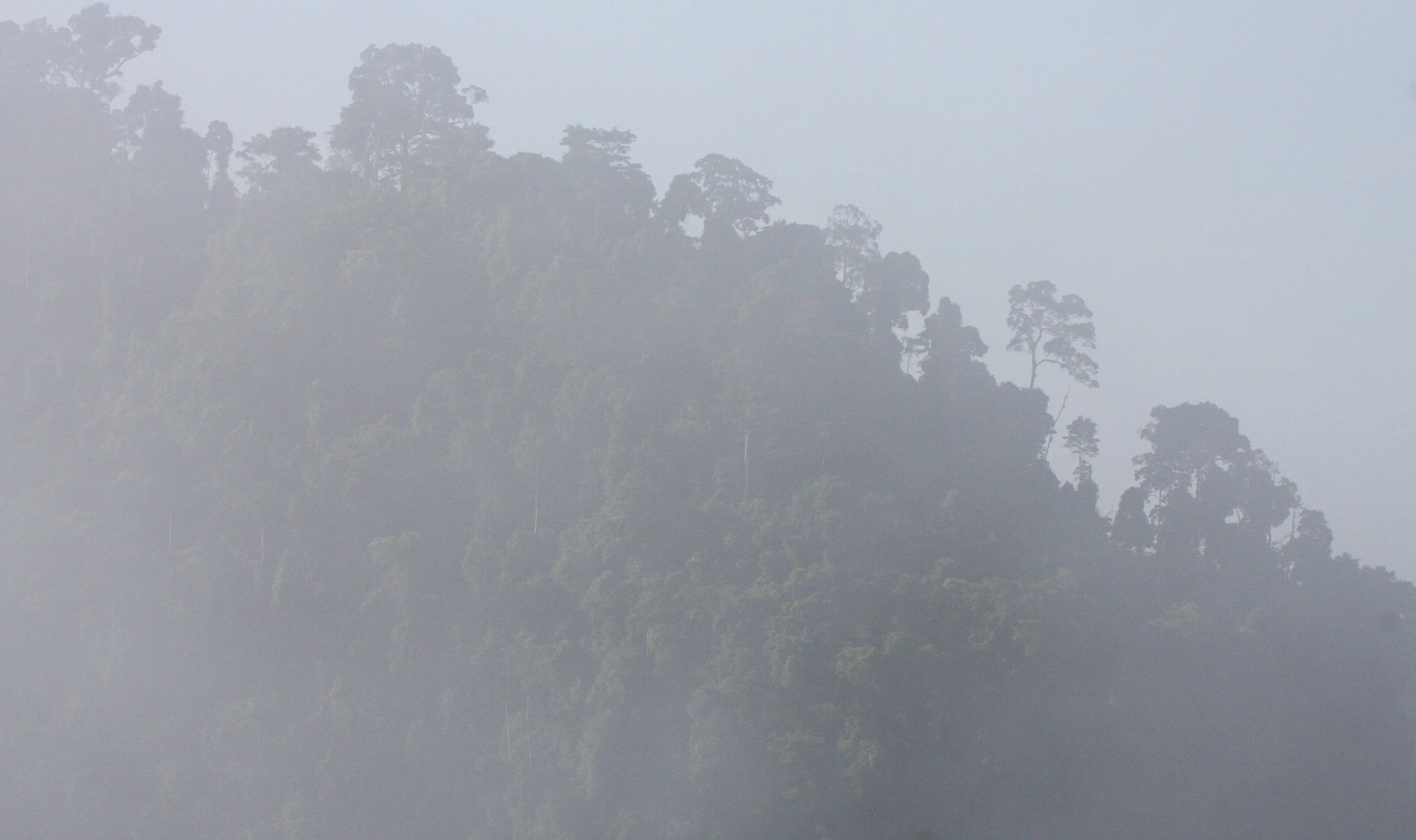 KRUNG CHIN NP - THALE MOG VIEW POINT THAILAND (5).JPG