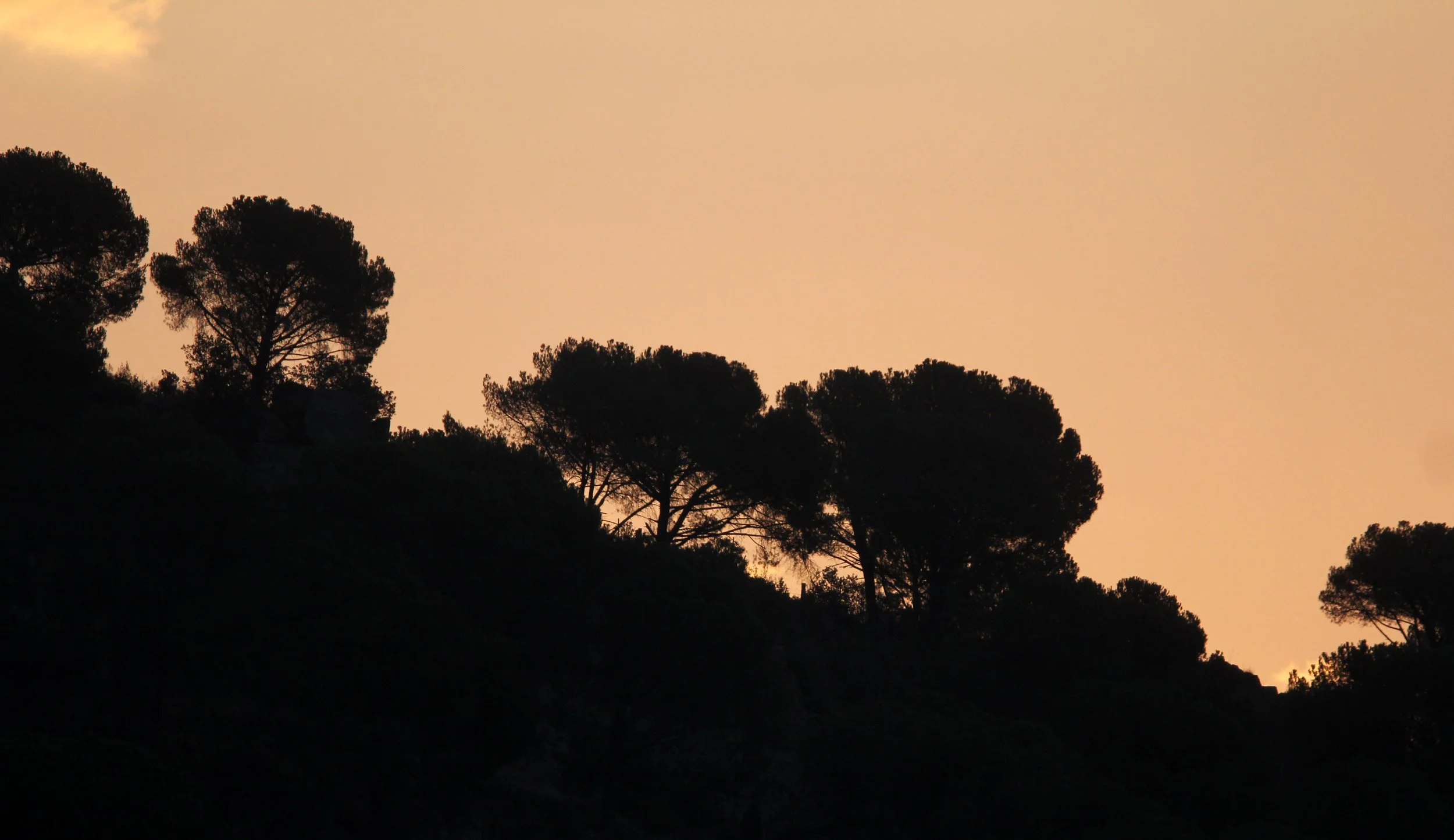 SIERRA DE ANDUJAR SPAIN (9).JPG