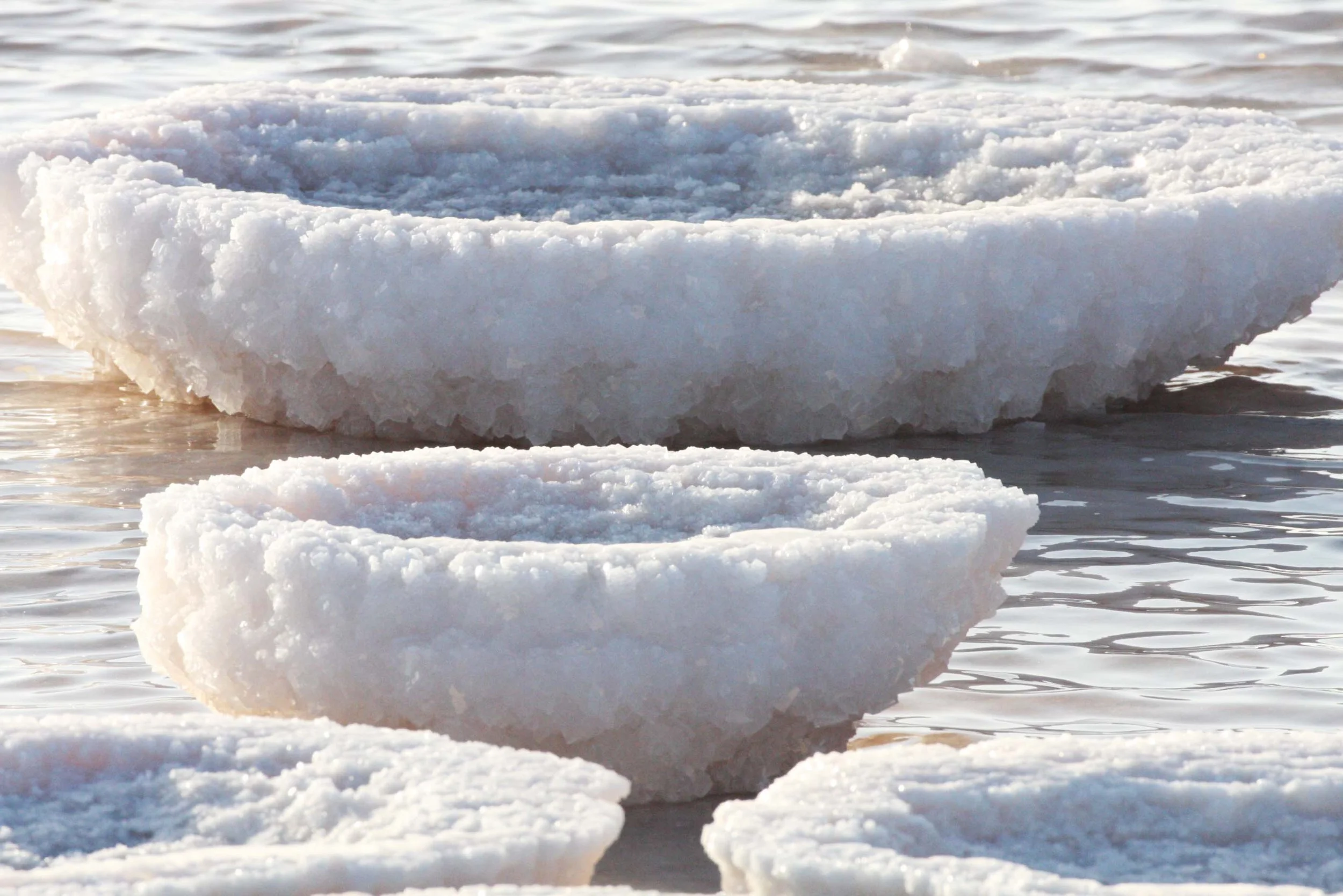 OJO DE LIEBRE LAGOON BAJA MEXICO - SALT PONDS (11).JPG