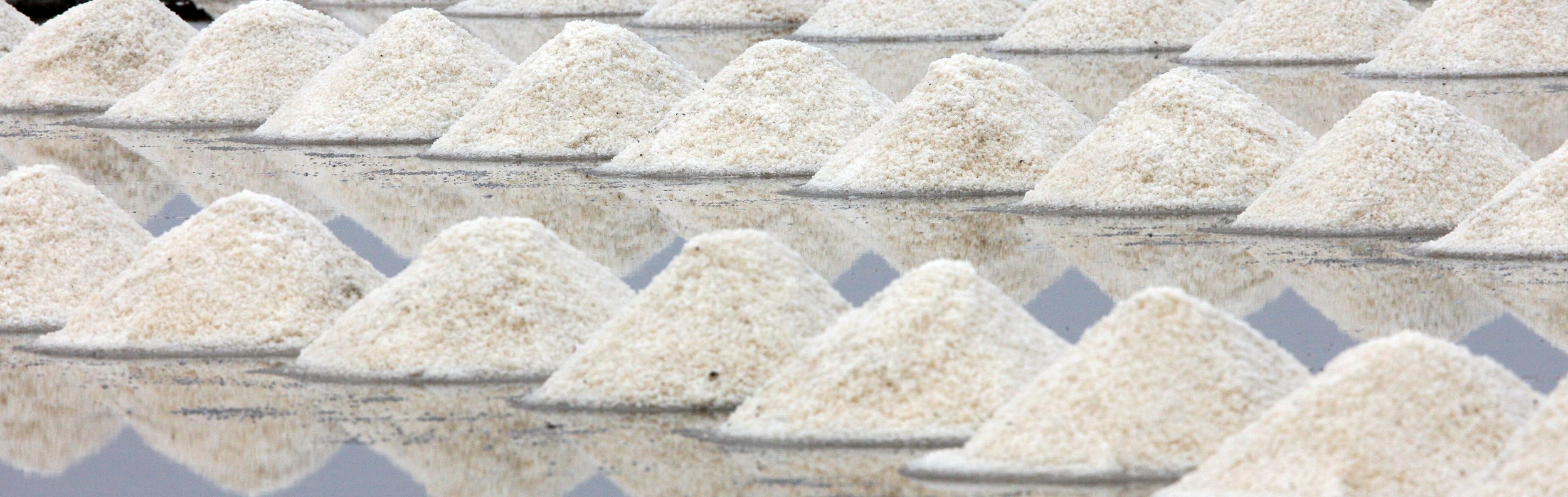 2011 Pak Thale Salt Ponds (13).JPG
