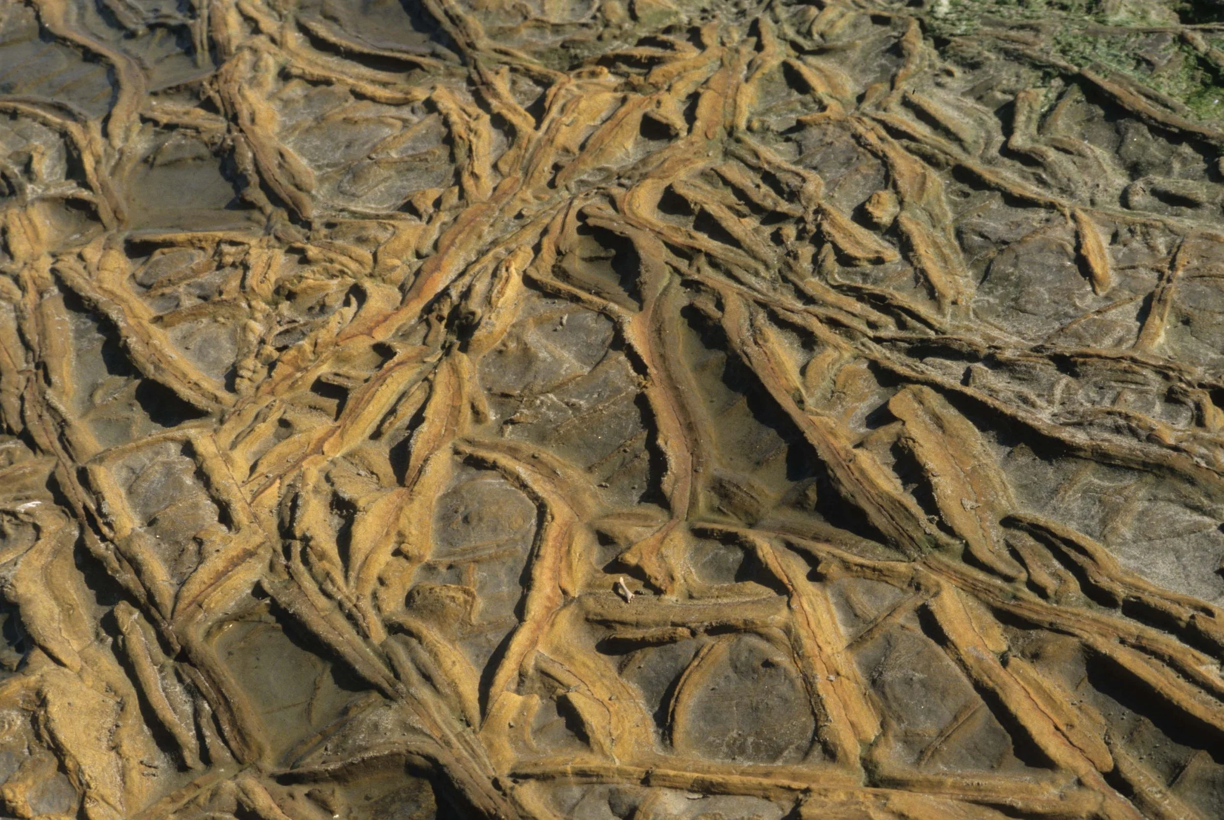 CALIFORNIA - POINT REYES - GEOLOGY STOP.jpg