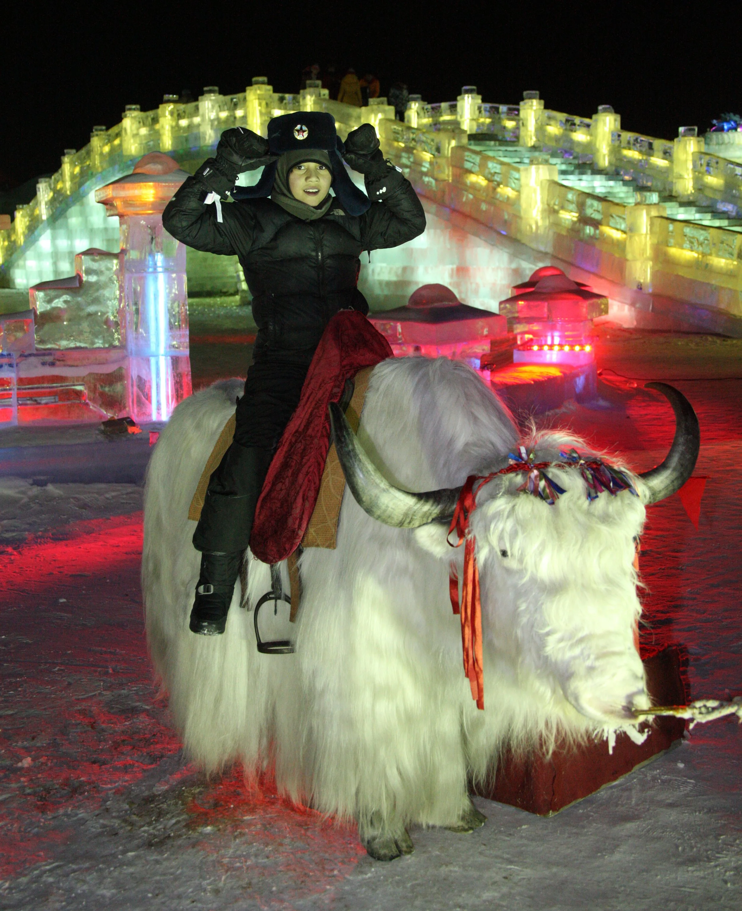 HARBIN ICE & SNOW FESTIVAL FEBRUARY 2012 (90).JPG