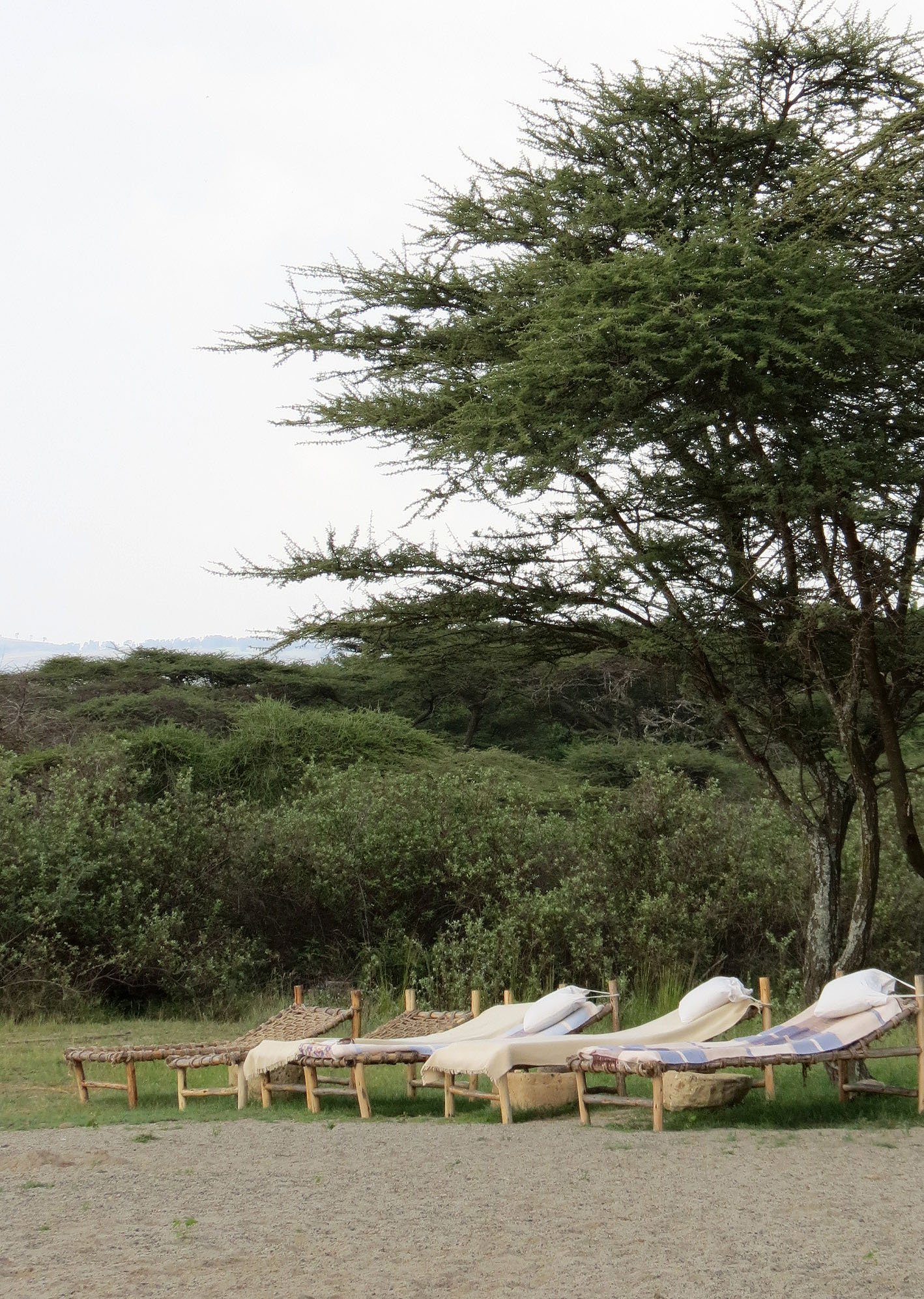 LANGANO LAKE ETHIOPIA - BISHANGARI LODGE AND SURROUNDING FOREST (54).JPG