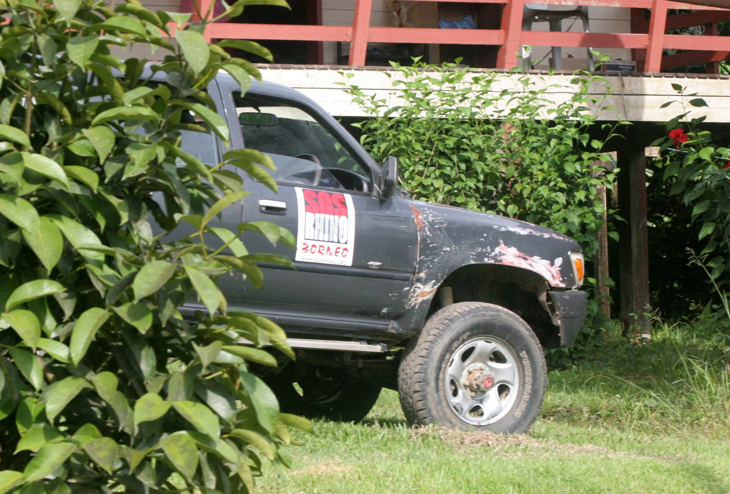 TABIN WILDLIFE RESERVE BORNEO - SOS RHINO.JPG