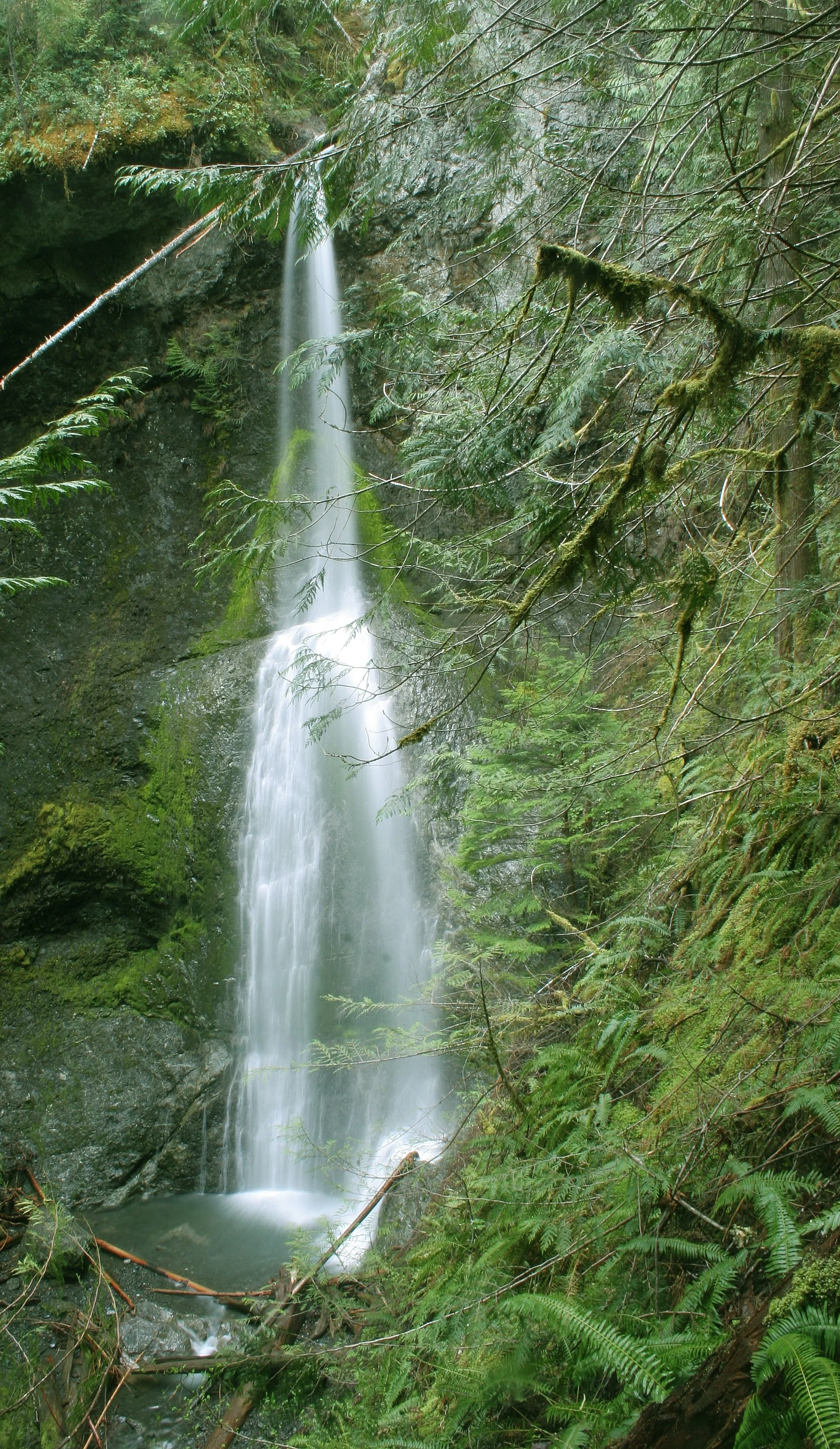 MARYMERE FALLS (24).JPG