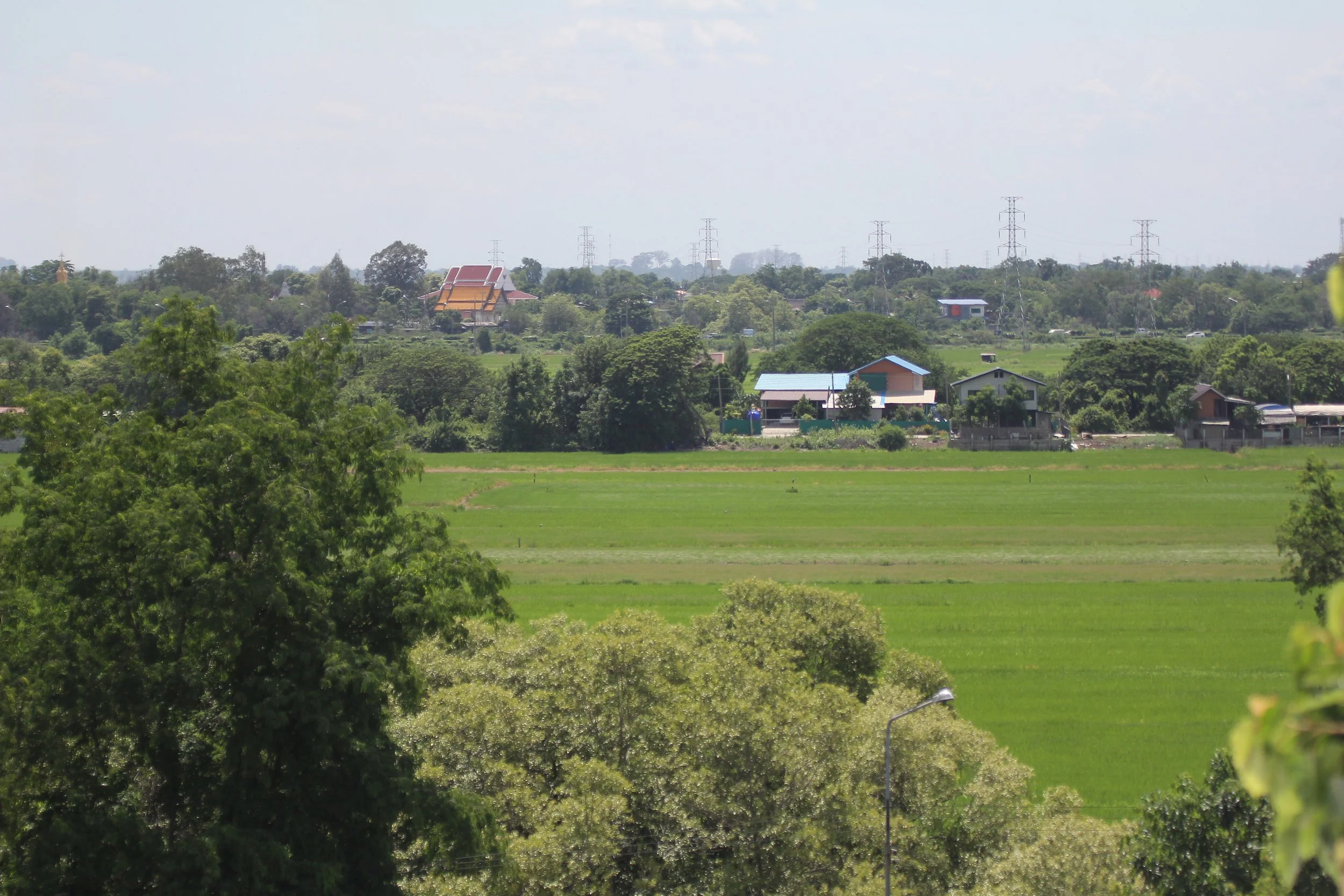 2020 - Ayutthaya Cokie's Pictures (204).JPG