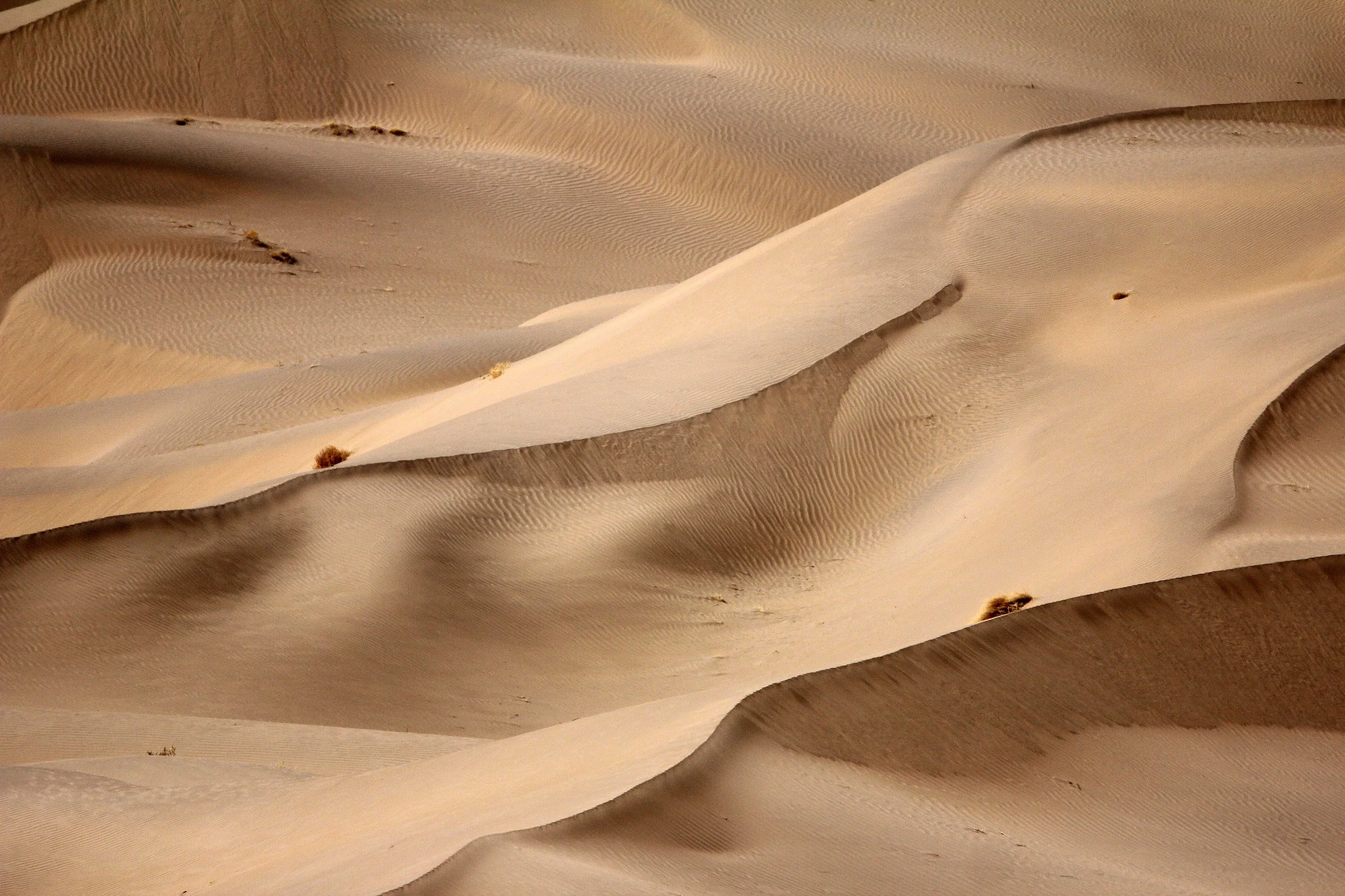GANSU - DUNES SOUTH OF DUNHUANG - CHINA (15).JPG