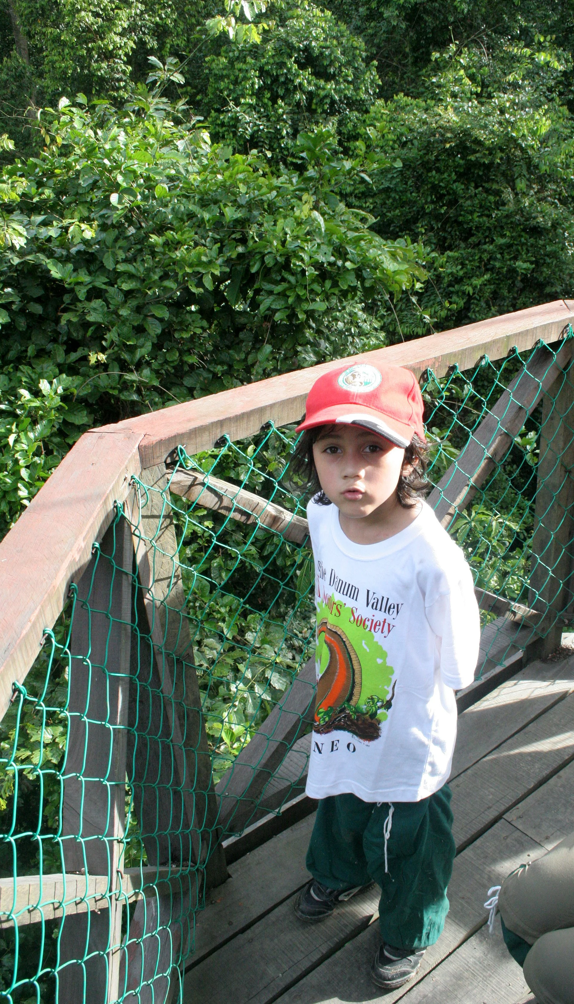 DANUM VALLEY BORNEO - CANOPY WALKWAY -  BRL (3).JPG