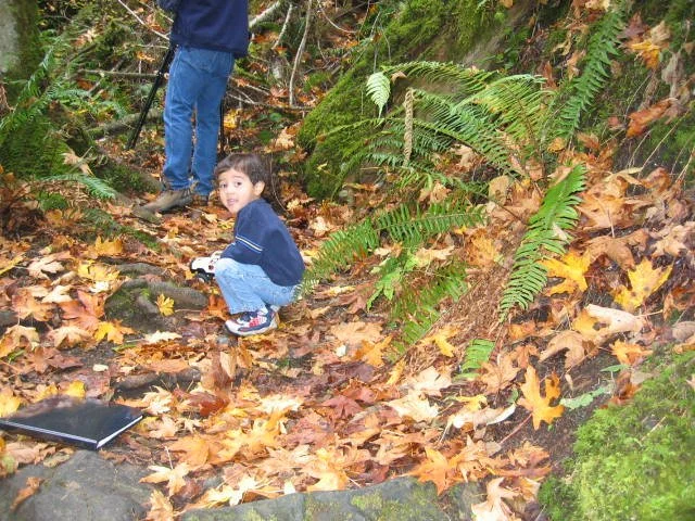 2005-10-22 WALK IN TO OLYMPIC RAINFOREST.JPG