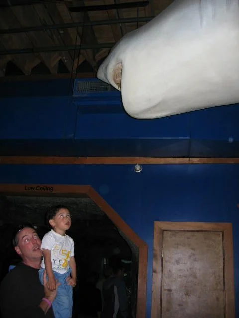 2005-6-4 COKIE AT SEATTLE AQUARIUM.jpg