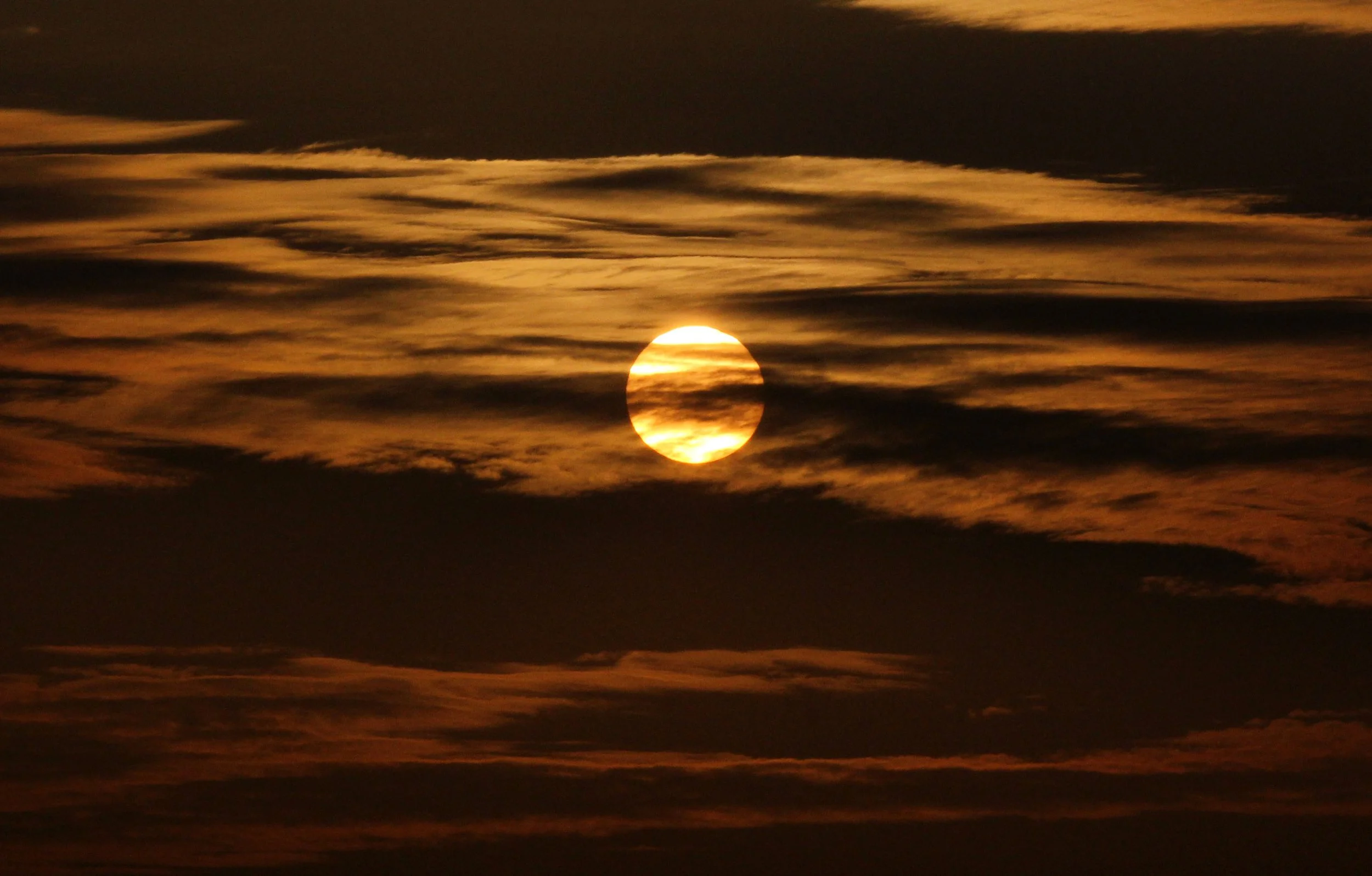 BUS RIDE TO SAS - DECEMBER 2012 (24).JPG