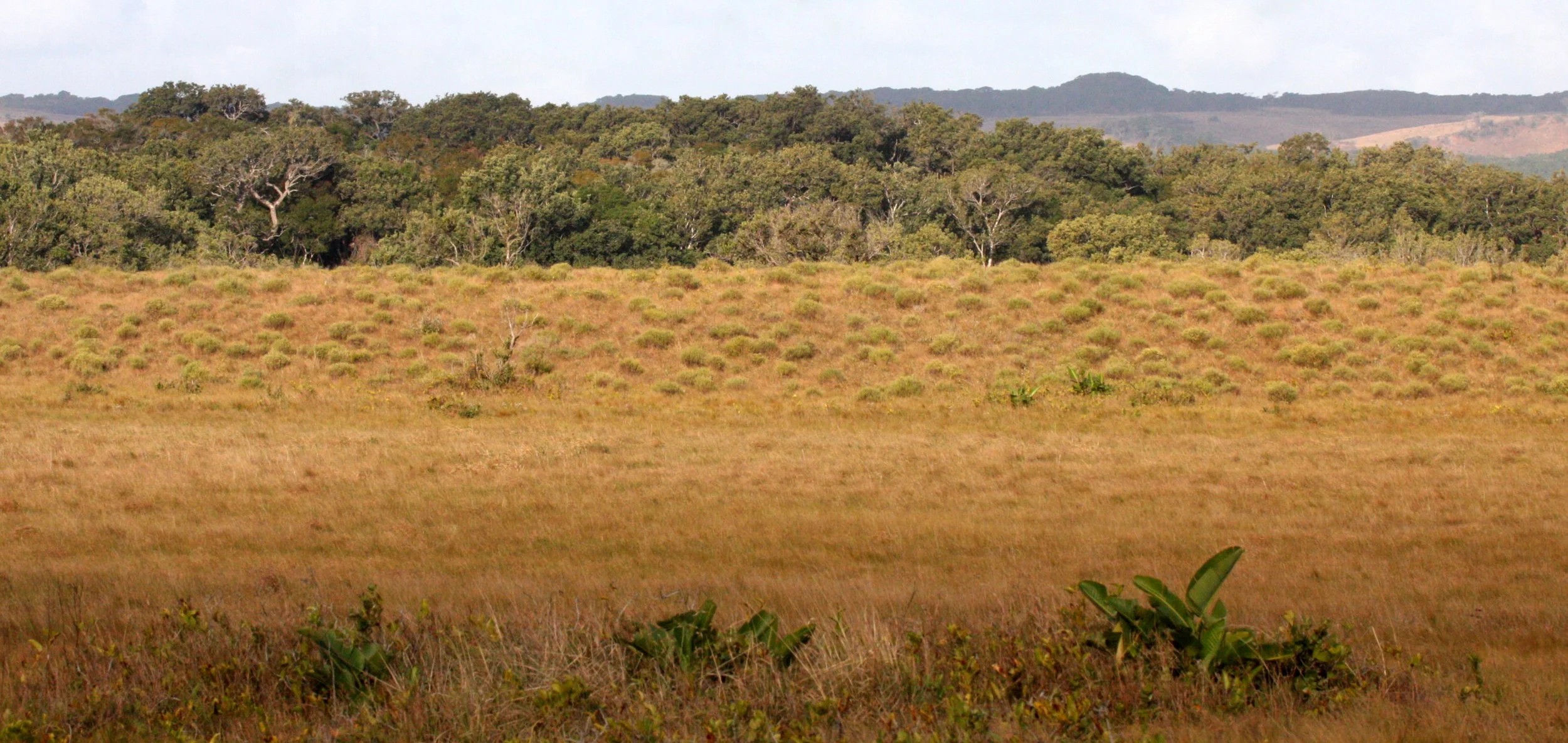 SAINT LUCIA WETLANDS RESERVE - SOUTH AFRICA (4).JPG