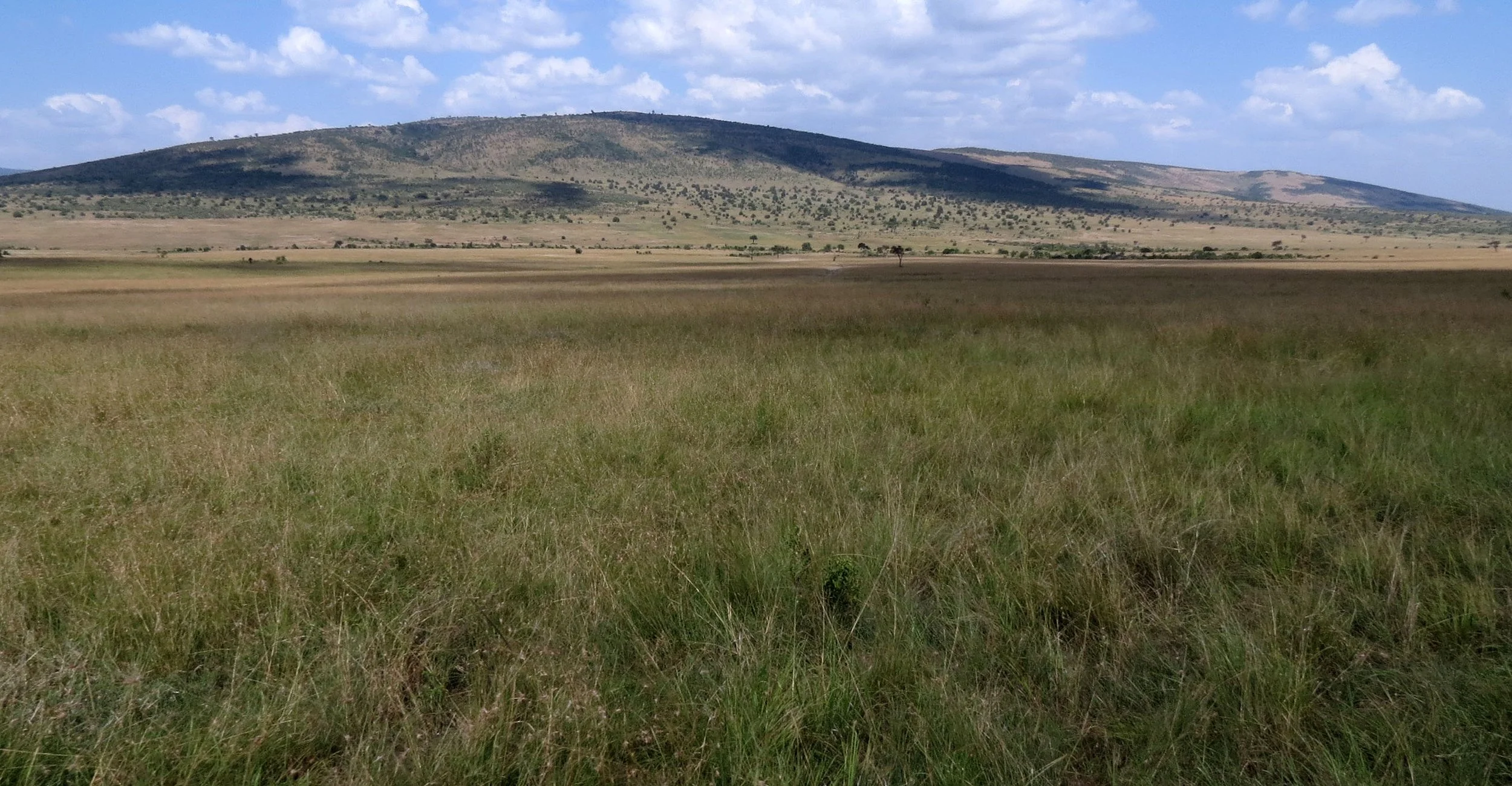 MASAI MARA NATIONAL PARK UGANDA (8).JPG