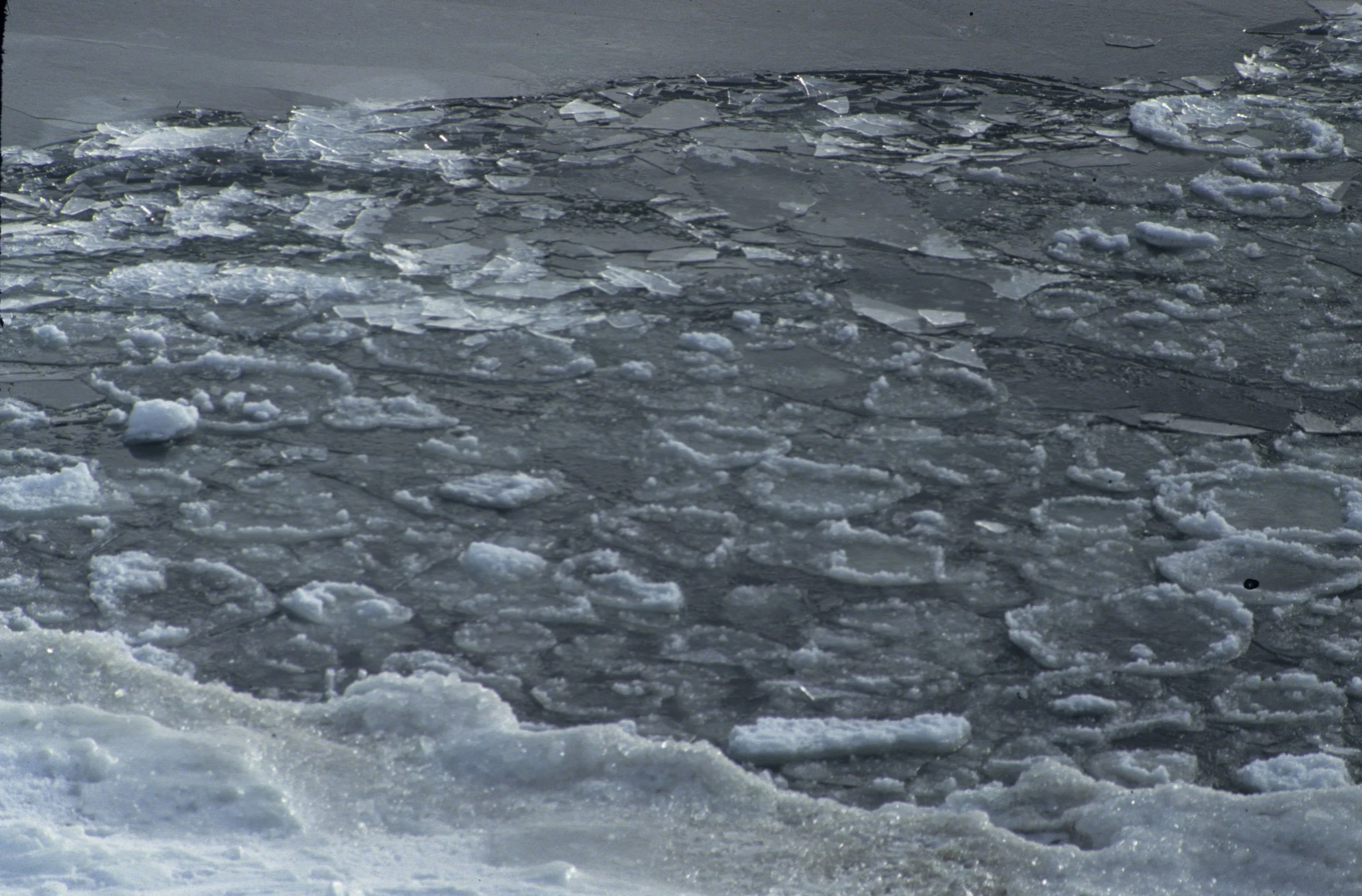 YELLOWSTONE IN WINTER L.jpg