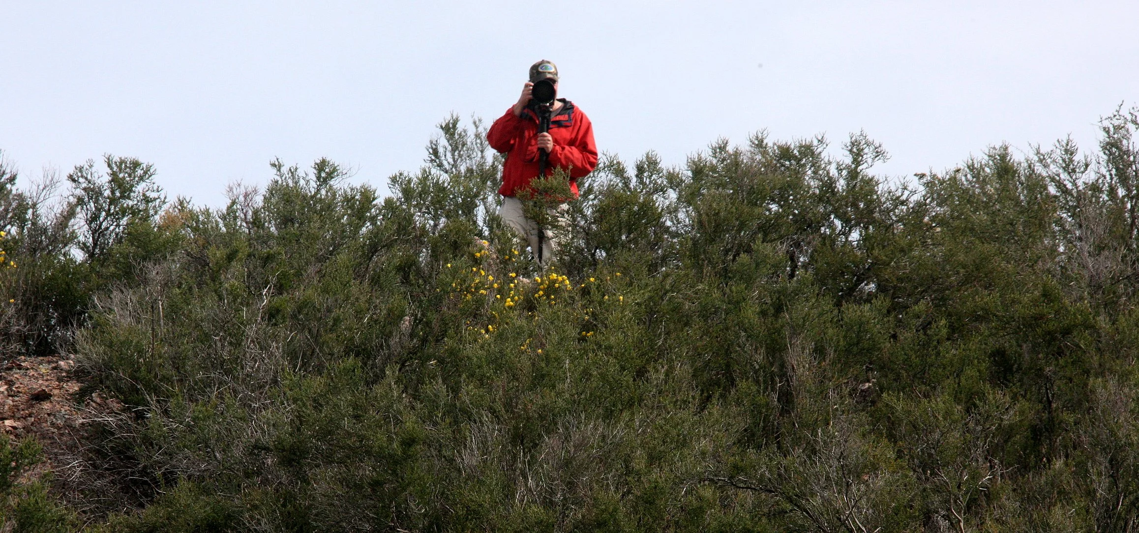 2010-4-2 PINNACLES NATIONAL MONUMENT CALIFORNIA (4).JPG