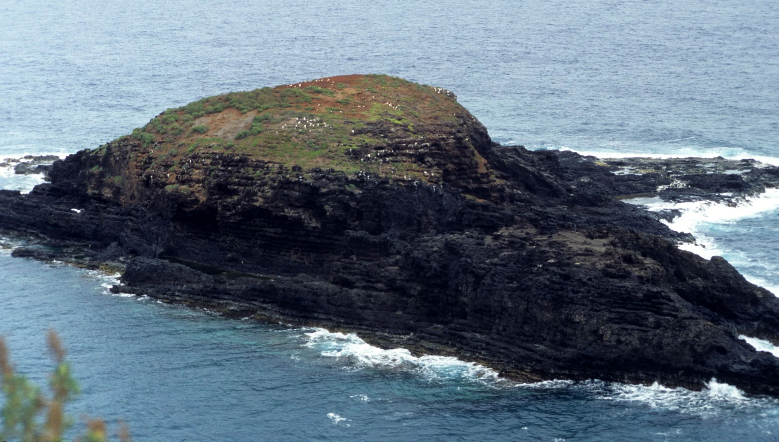 HAWAII - HAWAII - LIGHTHOUSE ISLAND BIRD COLONY.jpg
