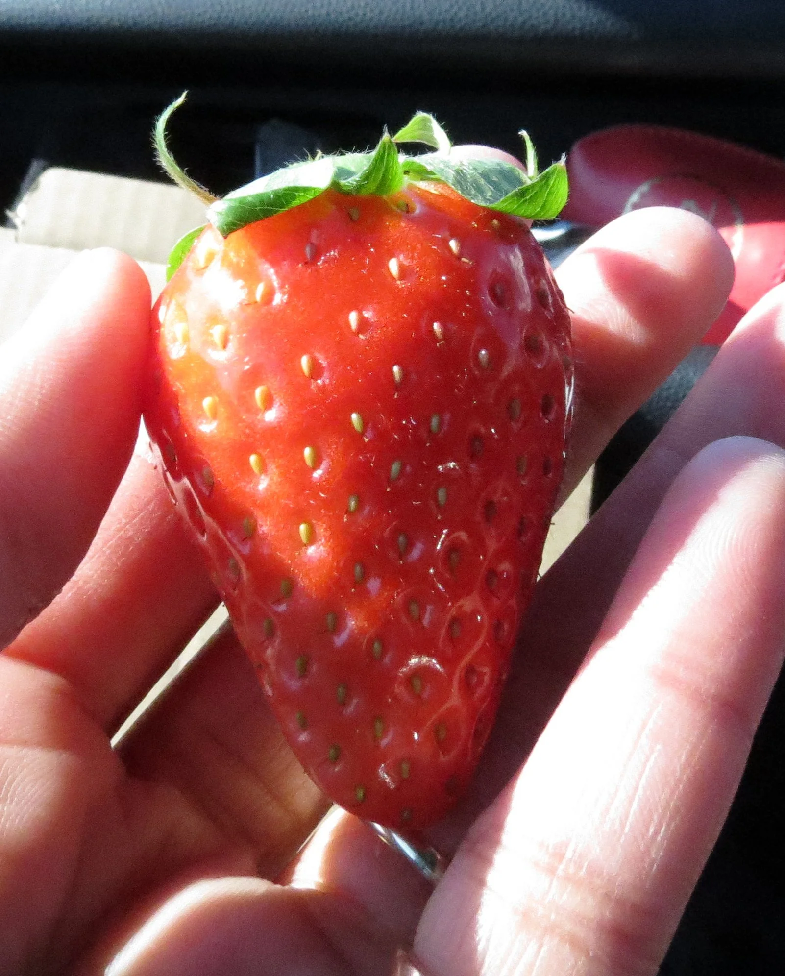 FOOD - SHIZUOKA STRAWBERRIES (4).JPG