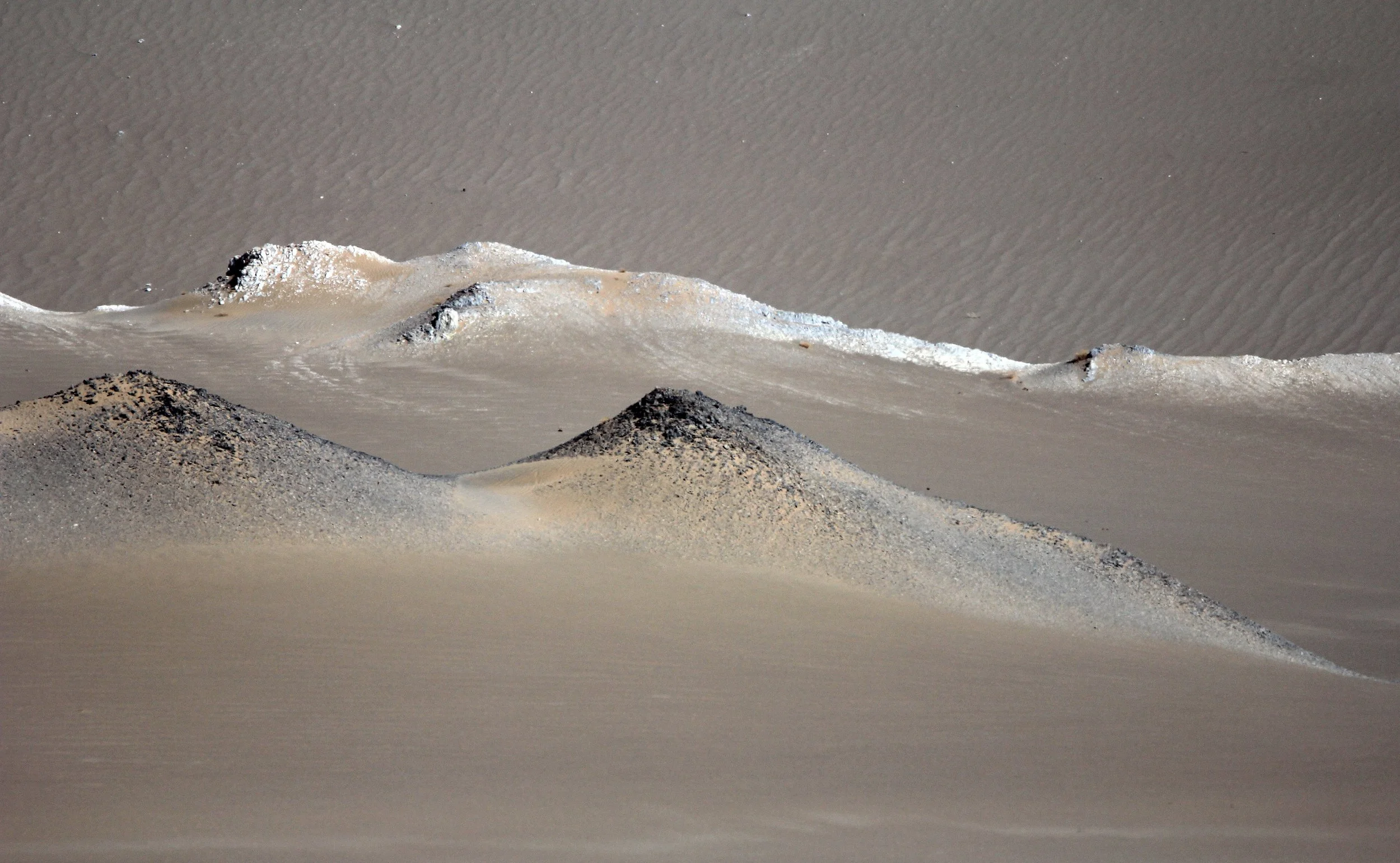 LOP NUR WILD BACTRIAN CAMEL RESERVE - XINJIANG CHINA (145).JPG