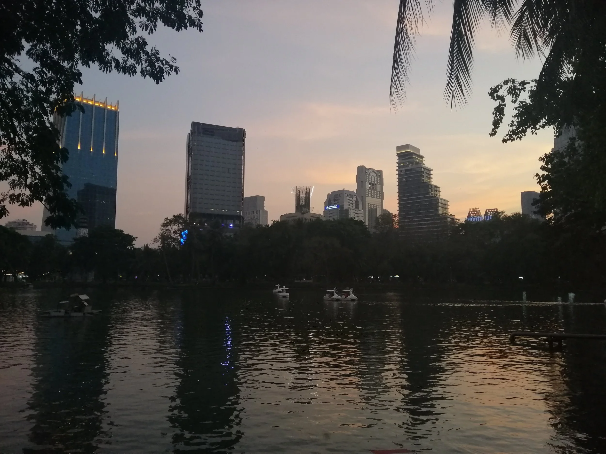 IMG_20190126_182343.jpg