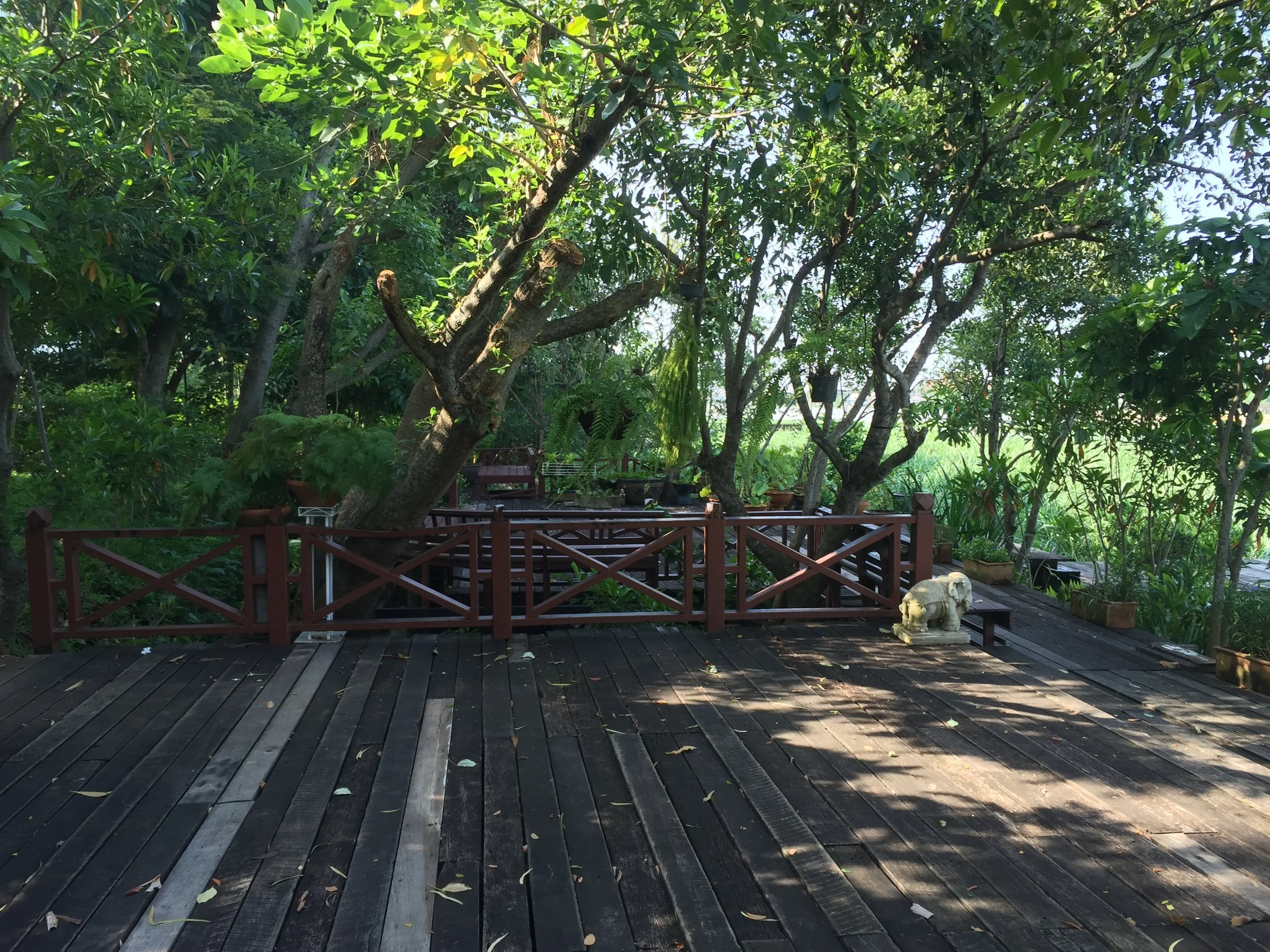 BKK - RIDE TO SUAN THIP PAKKRET FALL 2015 (10).JPG