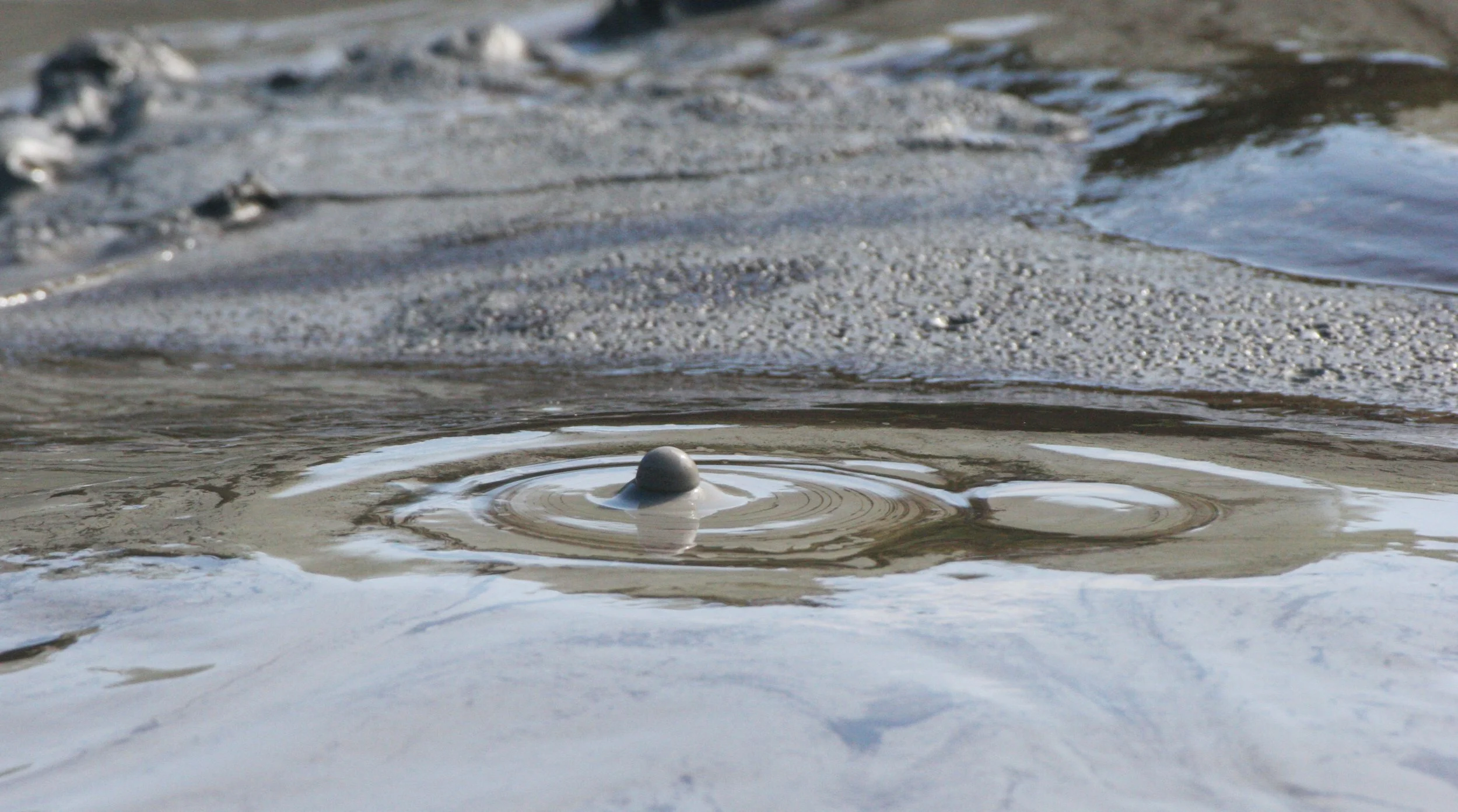 TABIN WILDLIFE RESERVE BORNEO - MUD VOLCANOES (12).JPG