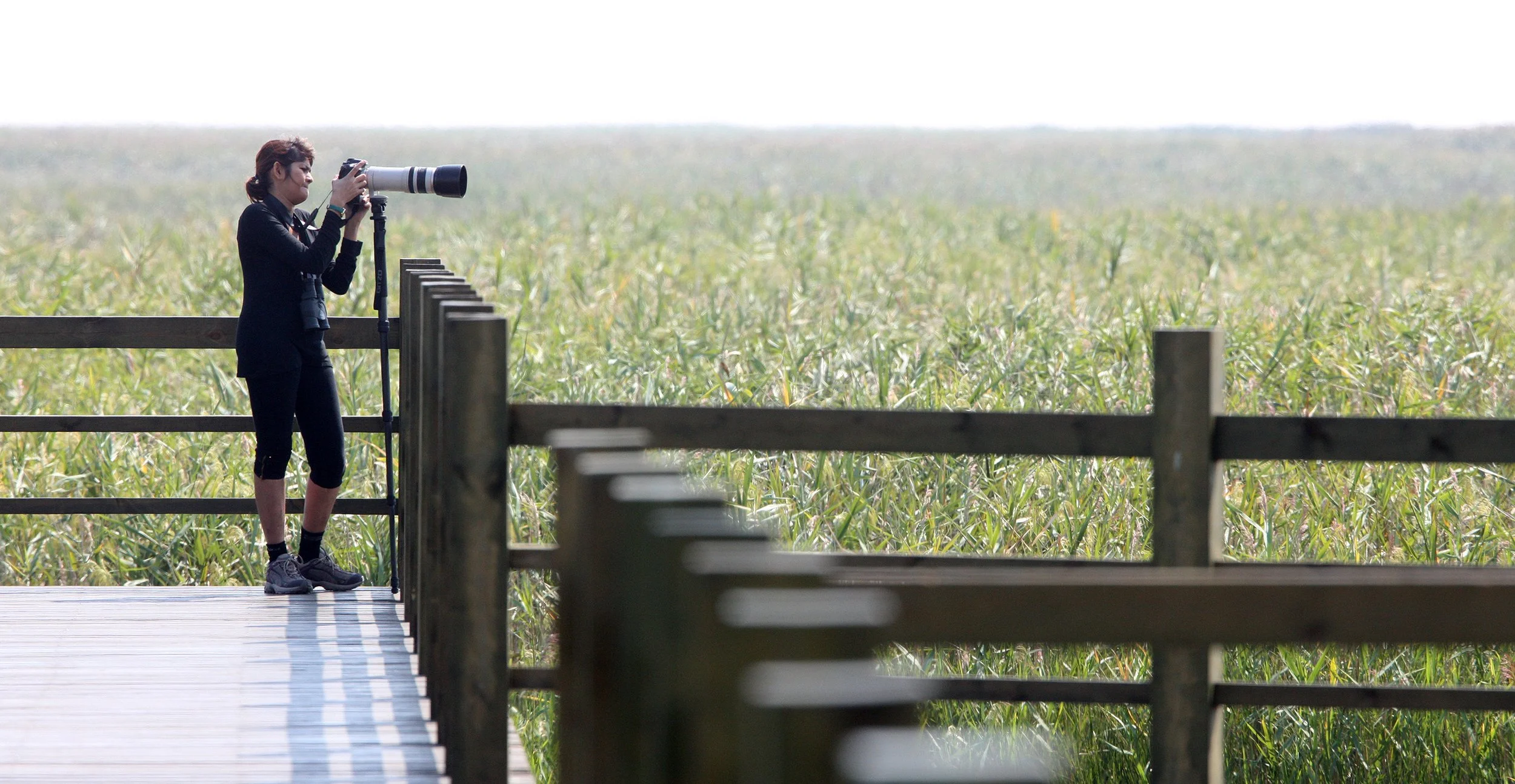 CHONGMING ISLAND - DONGTAN WETLANDS RESERVE (1).JPG