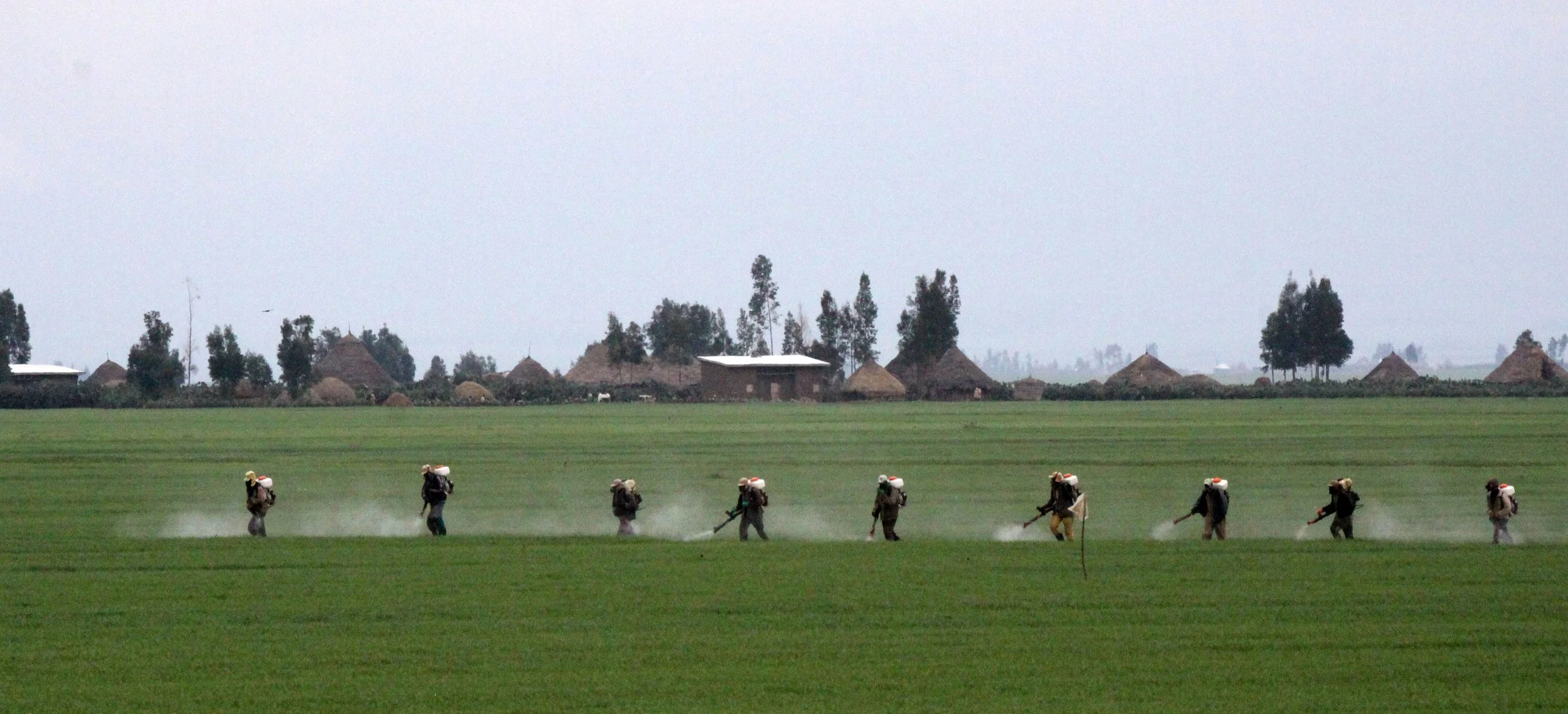 AWASH ETHIOPIA (6).JPG