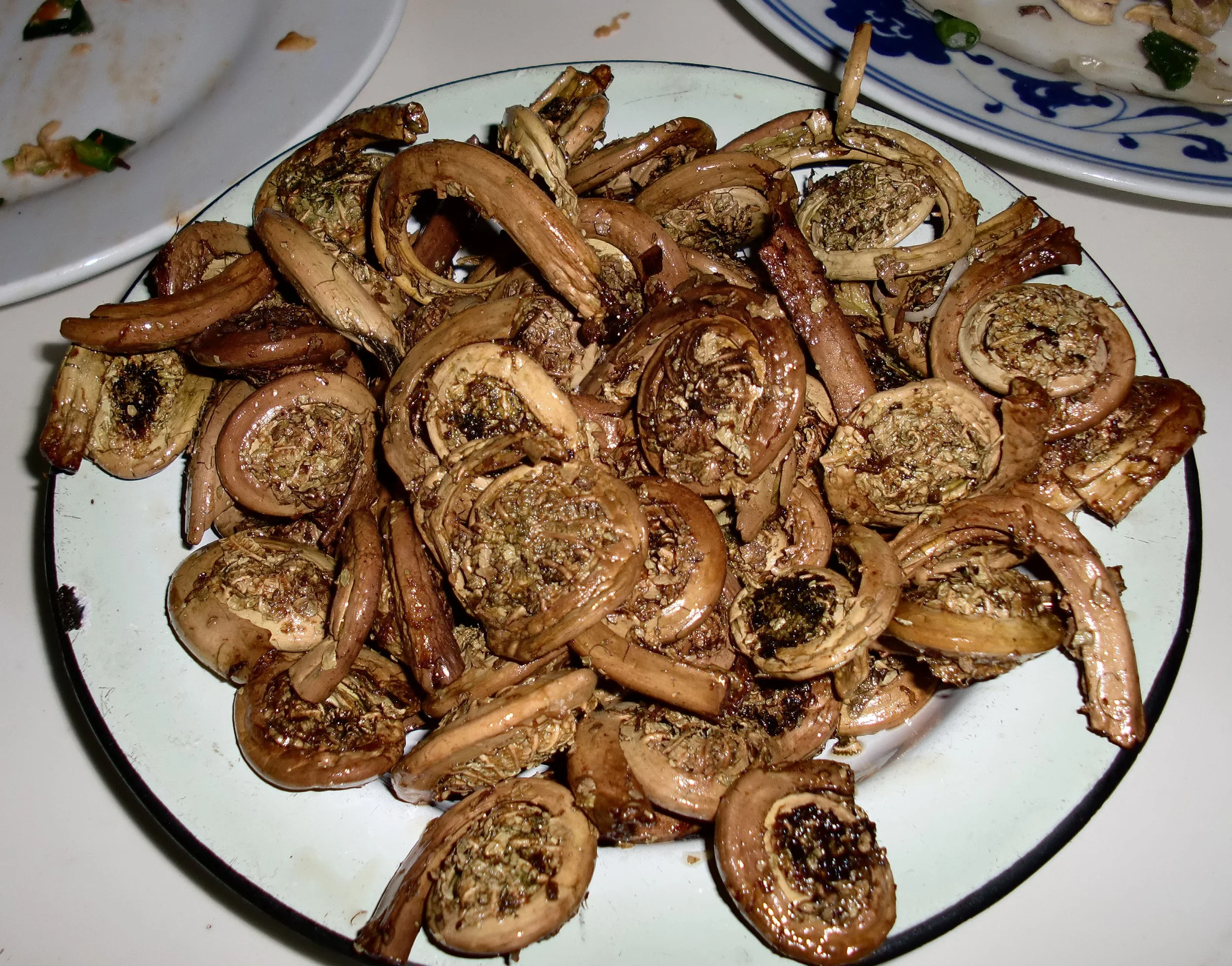 YUNNAN - TACHENG TOWN NEAR BAIMA SNOW MOUNTAIN (13).JPG