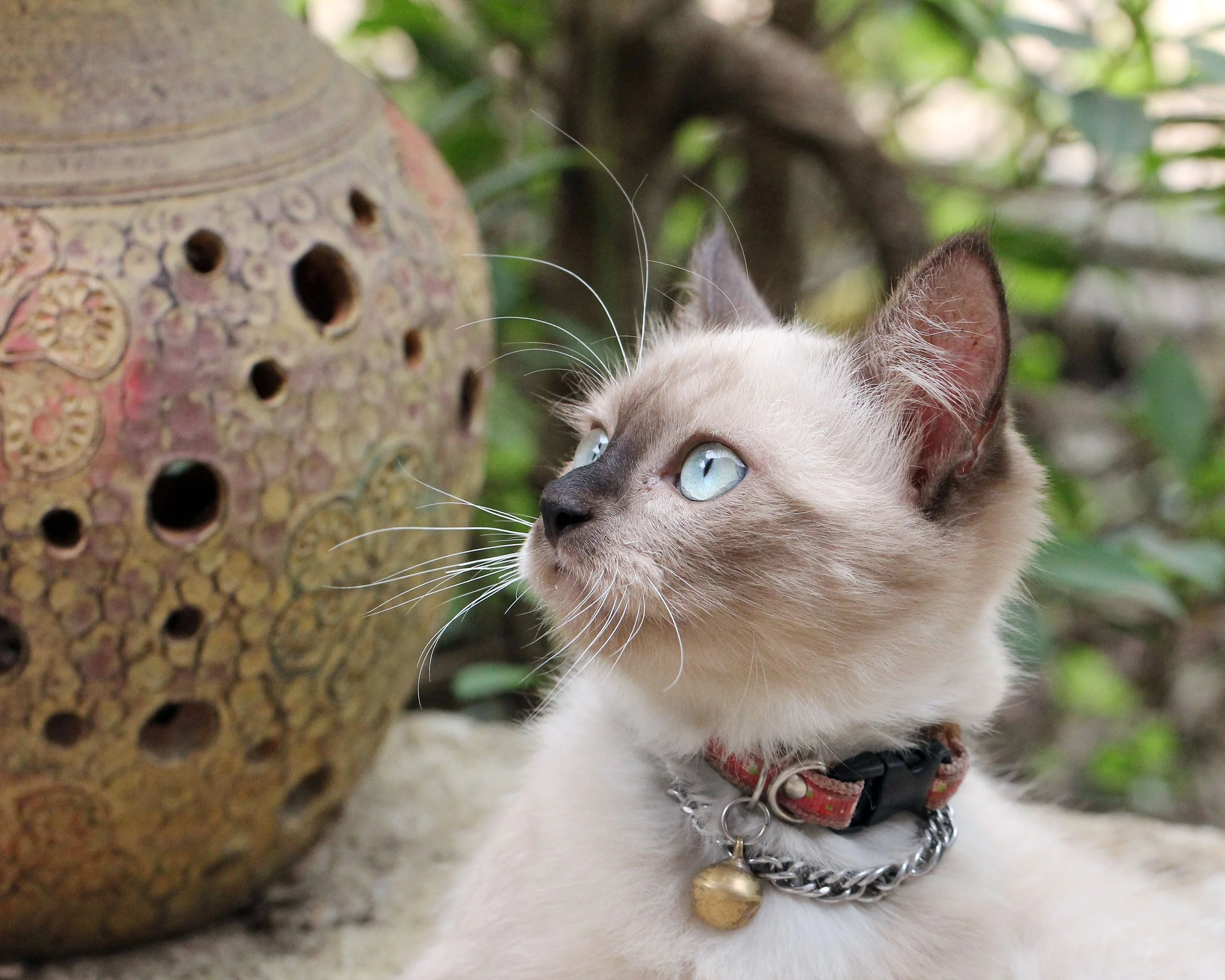 2015 Koh Lanta October Break Trip  (182).JPG