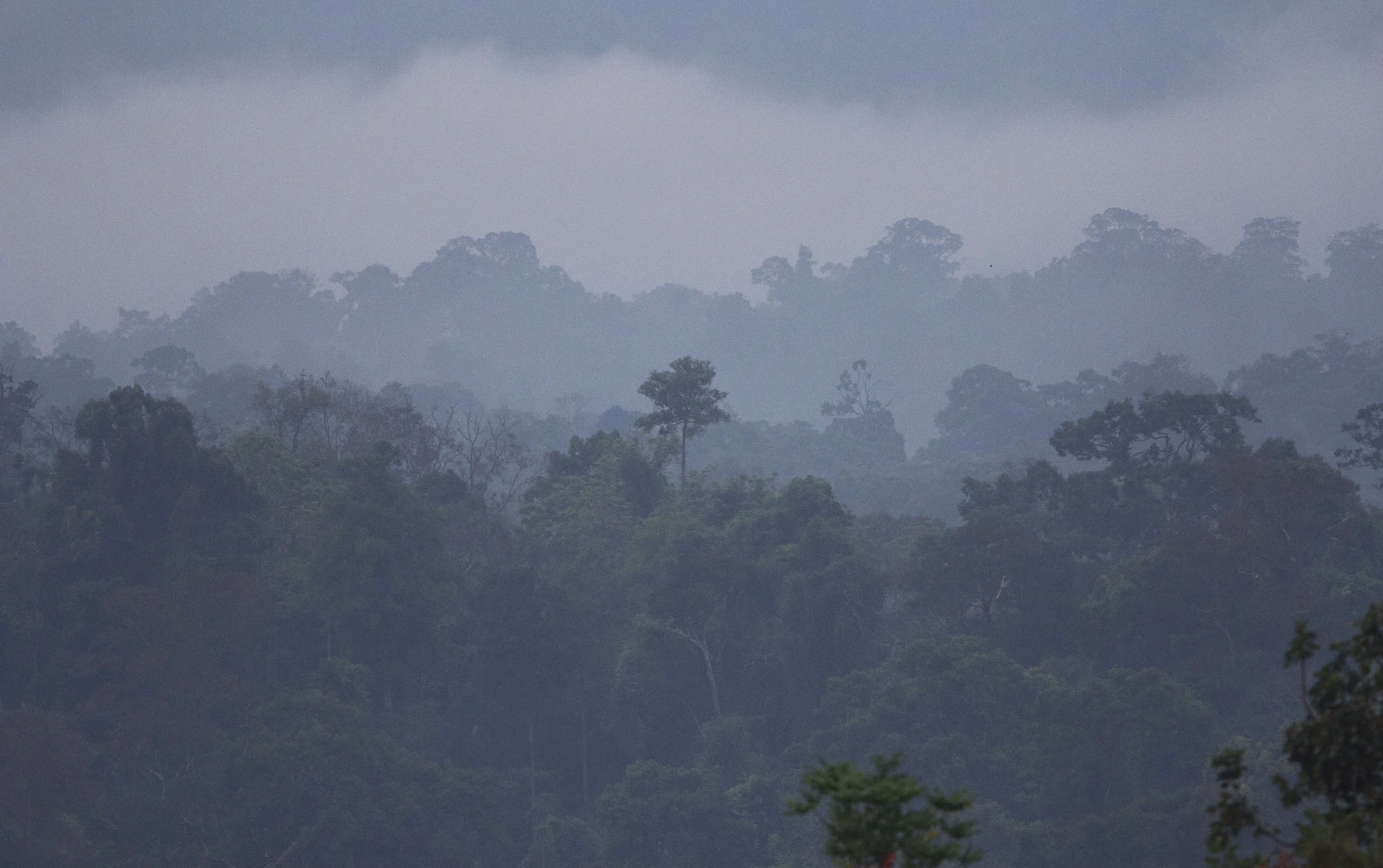 2015 Khao Pang Ma Nonhunting Area (184).jpg