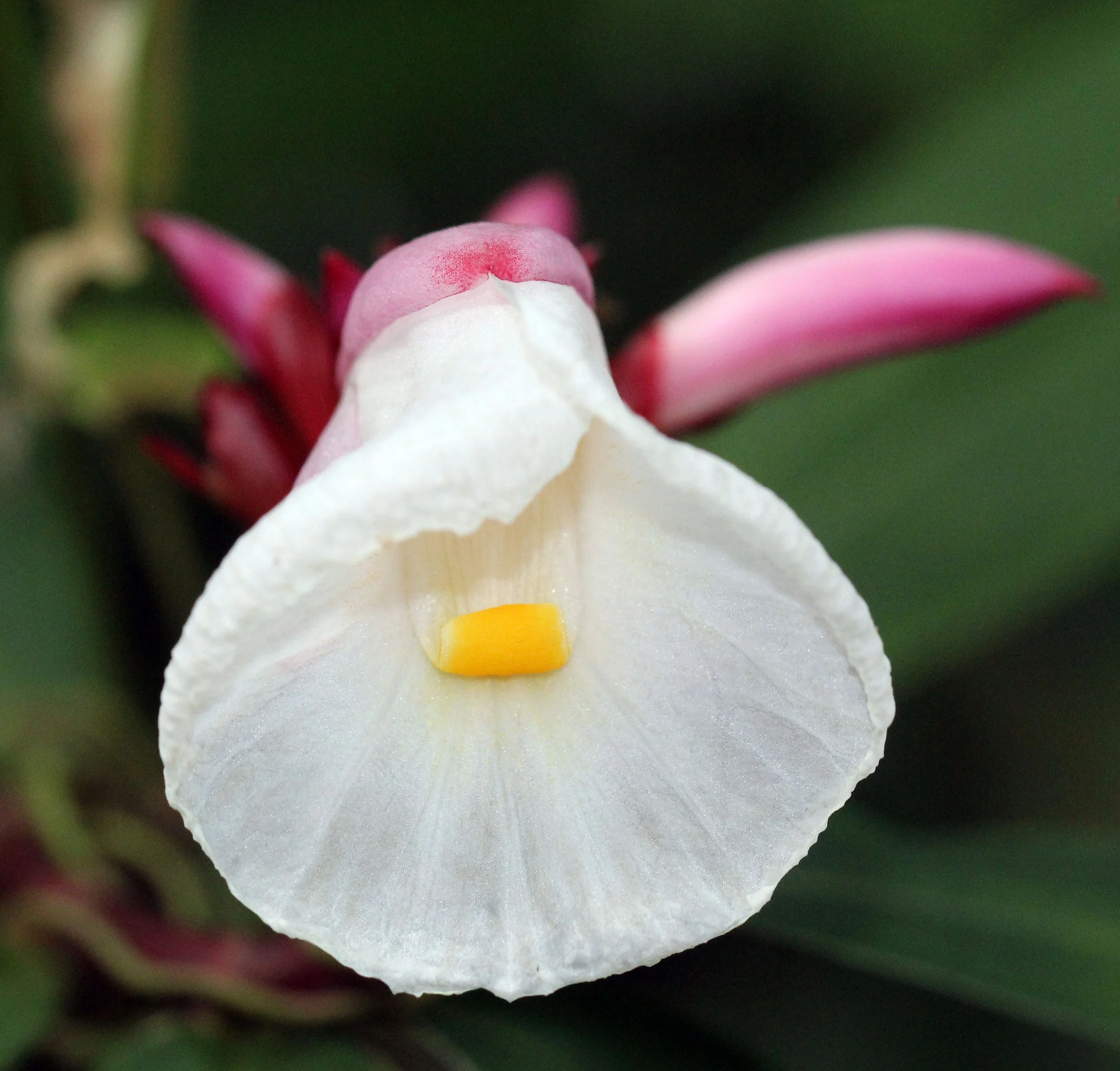 2015 Koh Lanta October Break Trip  (140).JPG