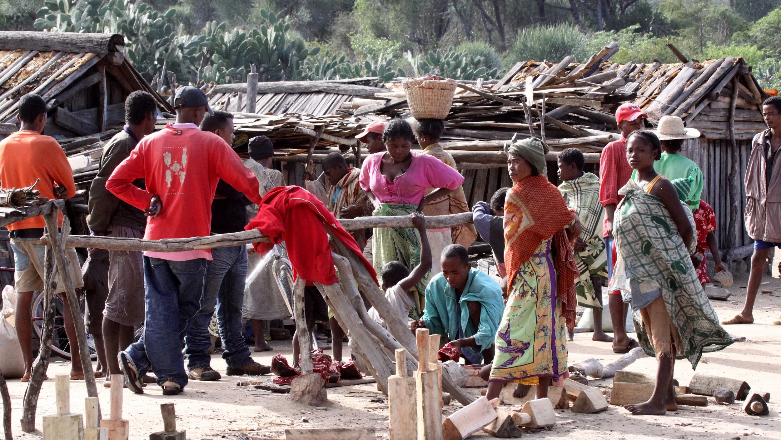 ANDOHAHELA NATIONAL PARK MADAGASCAR - VILLAGE NEAR ENTRANCE (8).JPG