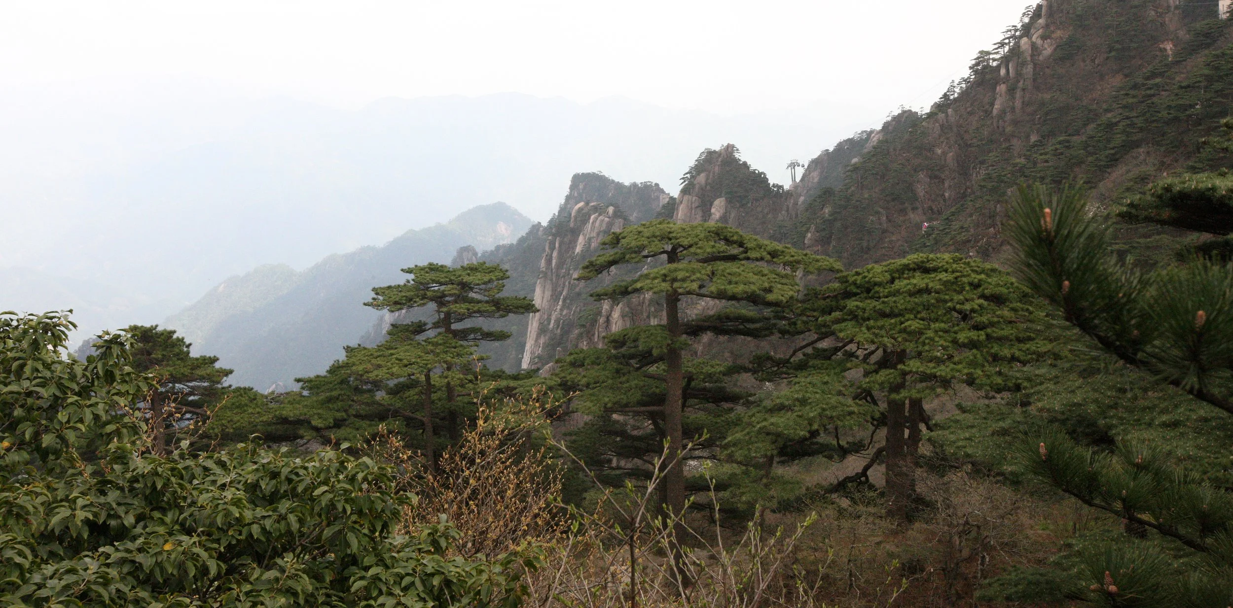 HUANGSHAN NATIONAL PARK ANHUI PROVINCE CHINA (73).JPG