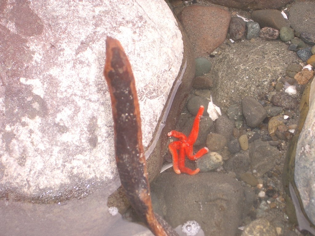 2004-3-12 LAKE FARM DAY AT THE BEACH (18).JPG