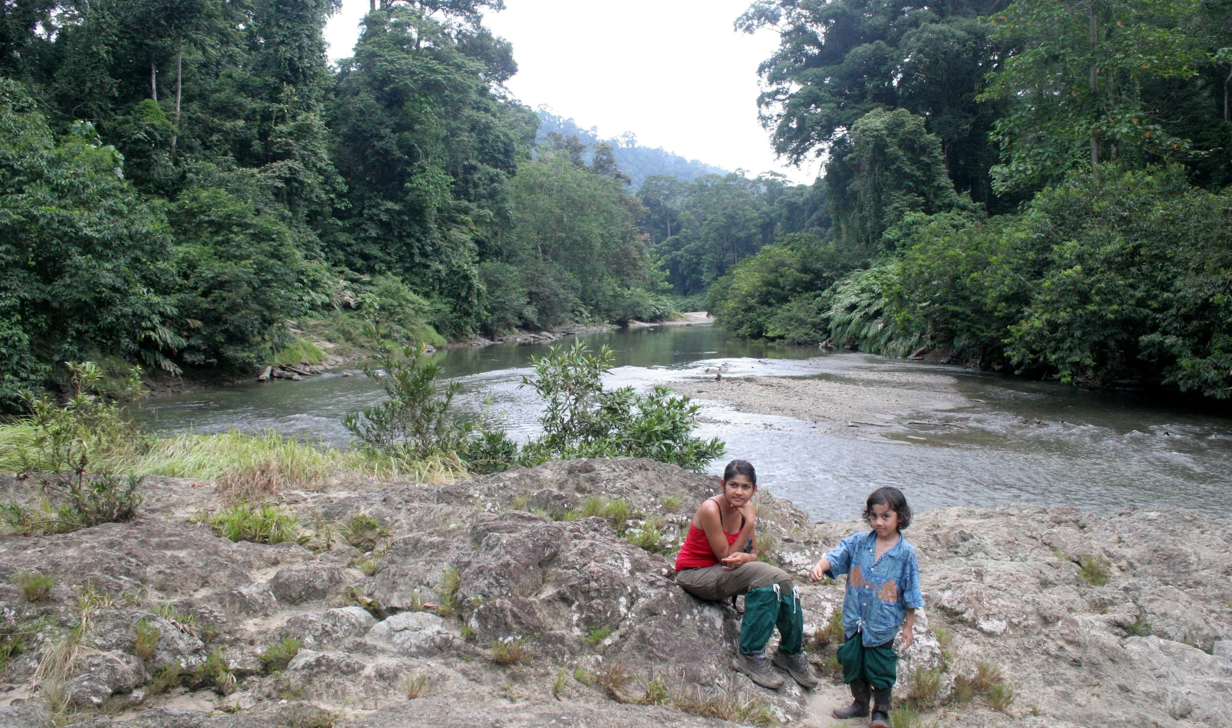 DANUM VALLEY BORNEO - RIVER SCENES (7).JPG