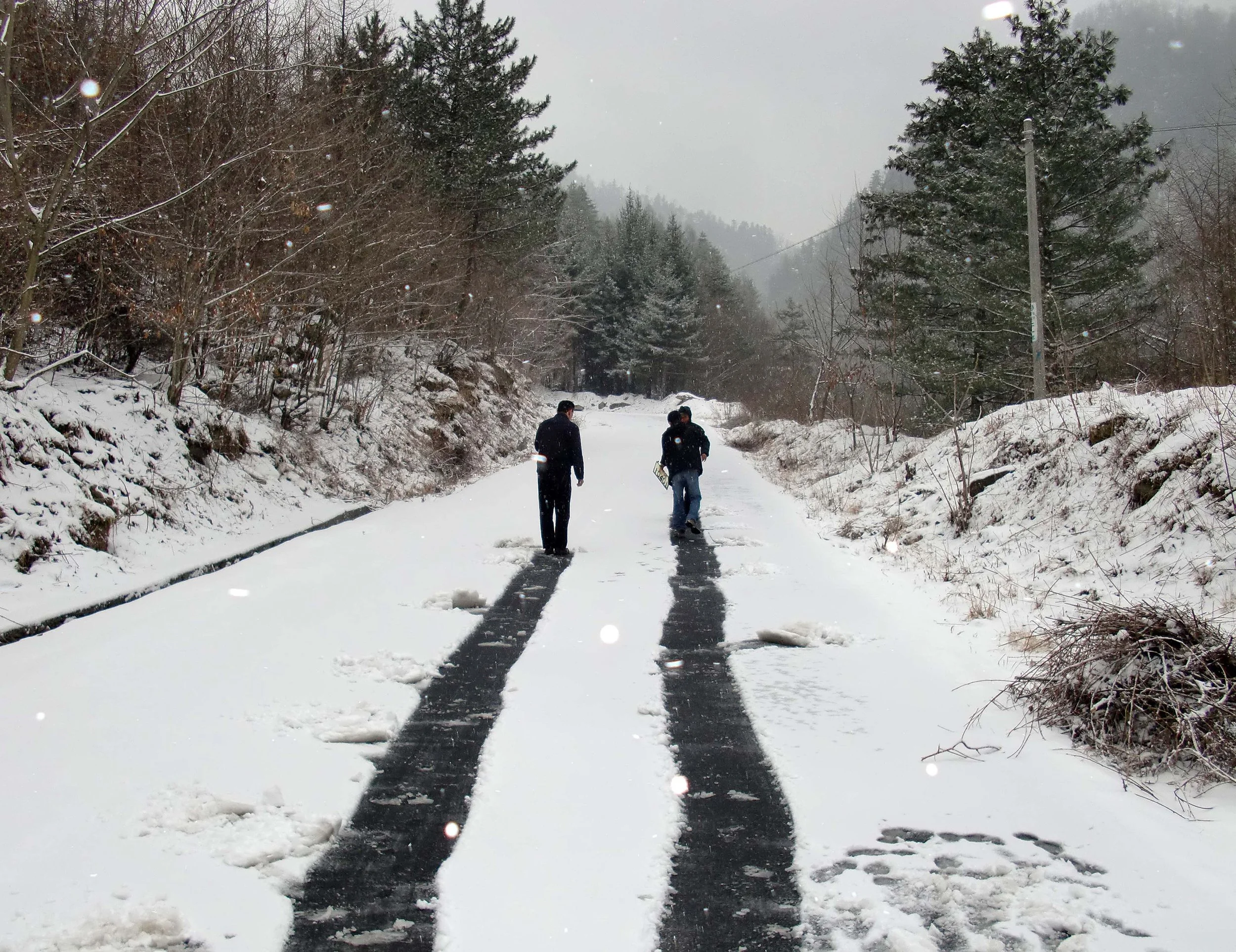 FOPING NATURE RESERVE - SHAANXI PROVINCE CHINA (7).JPG