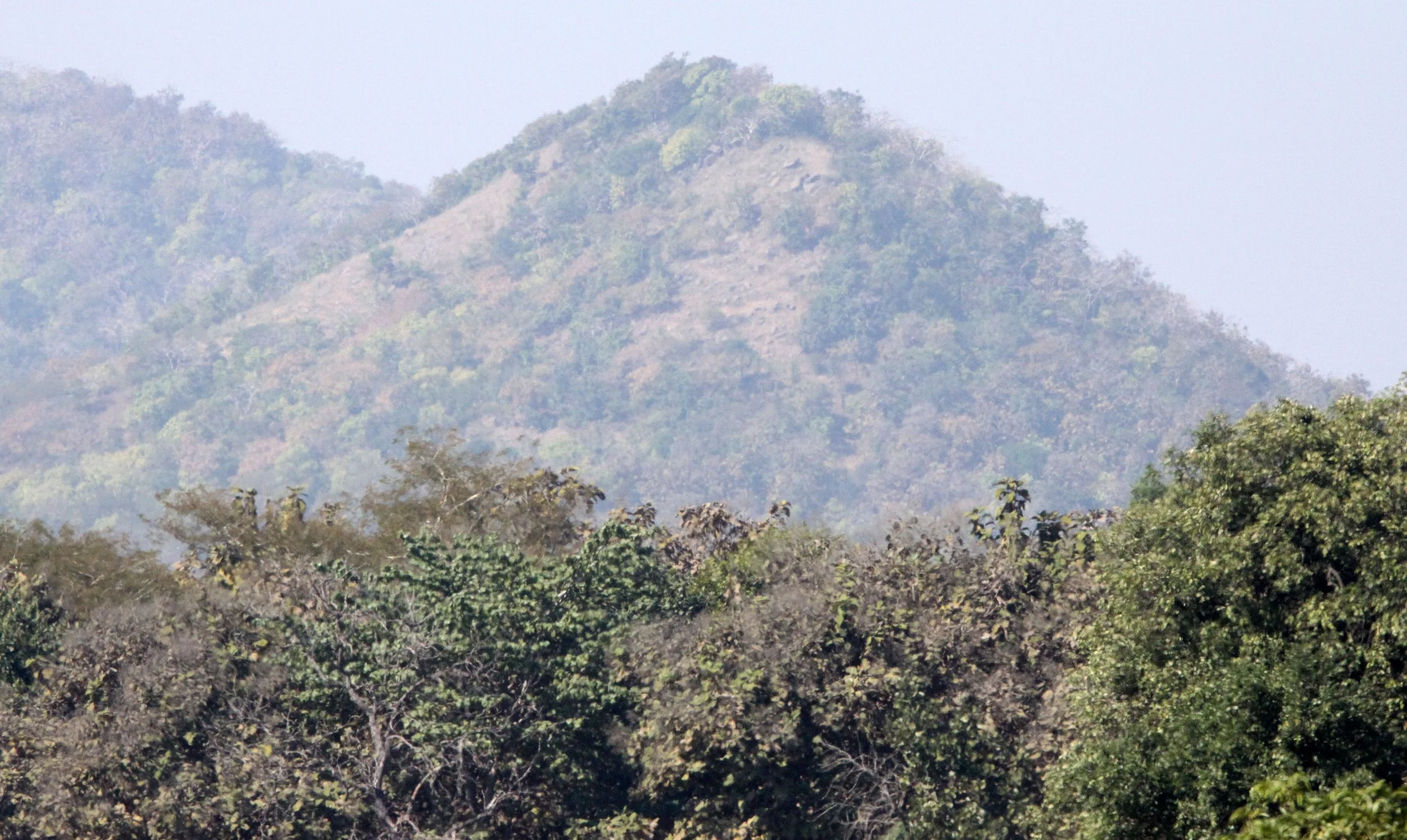 GUJARAT - GIR FOREST GUJARAT INDIA (4).JPG