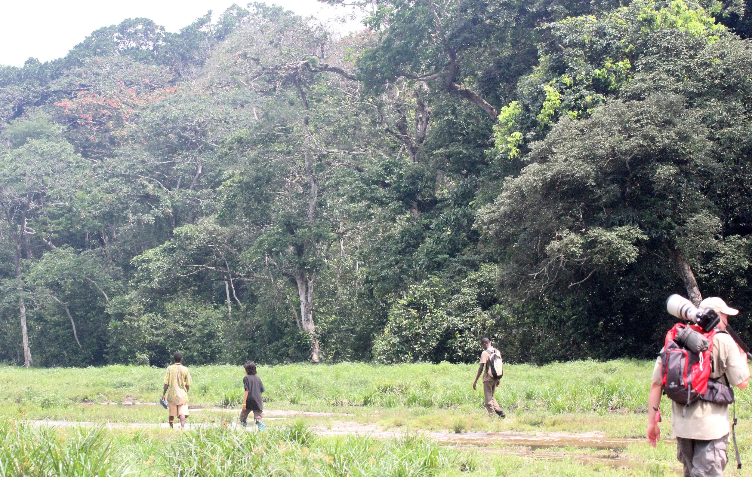 DZANGA NDOKI NATIONAL PARK CENTRAL AFRICAN REPUBLIC (26).JPG