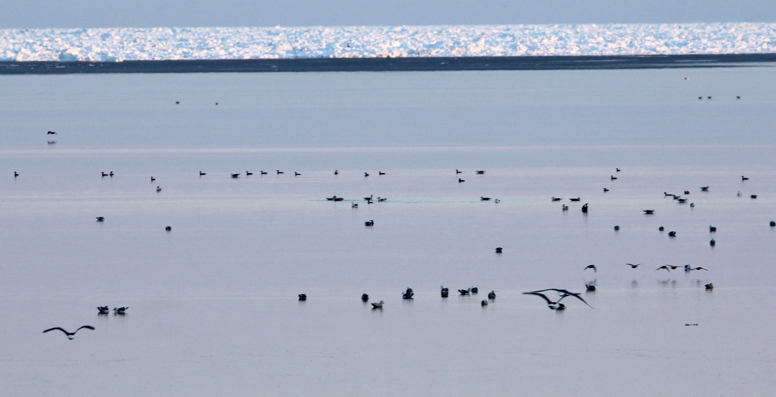 RAUSU, SHIRETOKO PENINSULA & NATIONAL PARK, HOKKAIDO JAPAN.JPG