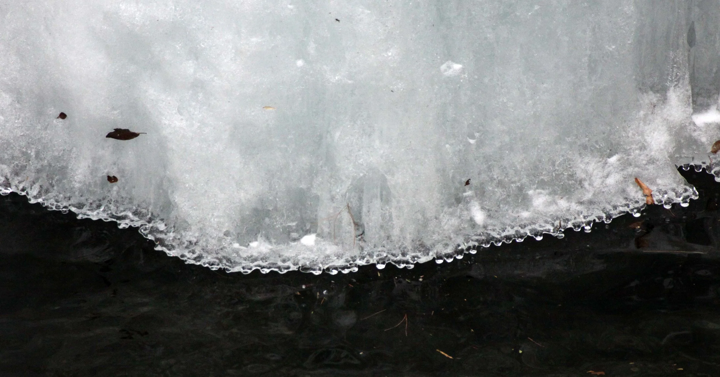 FOPING NATURE RESERVE - SHAANXI PROVINCE CHINA (112).JPG