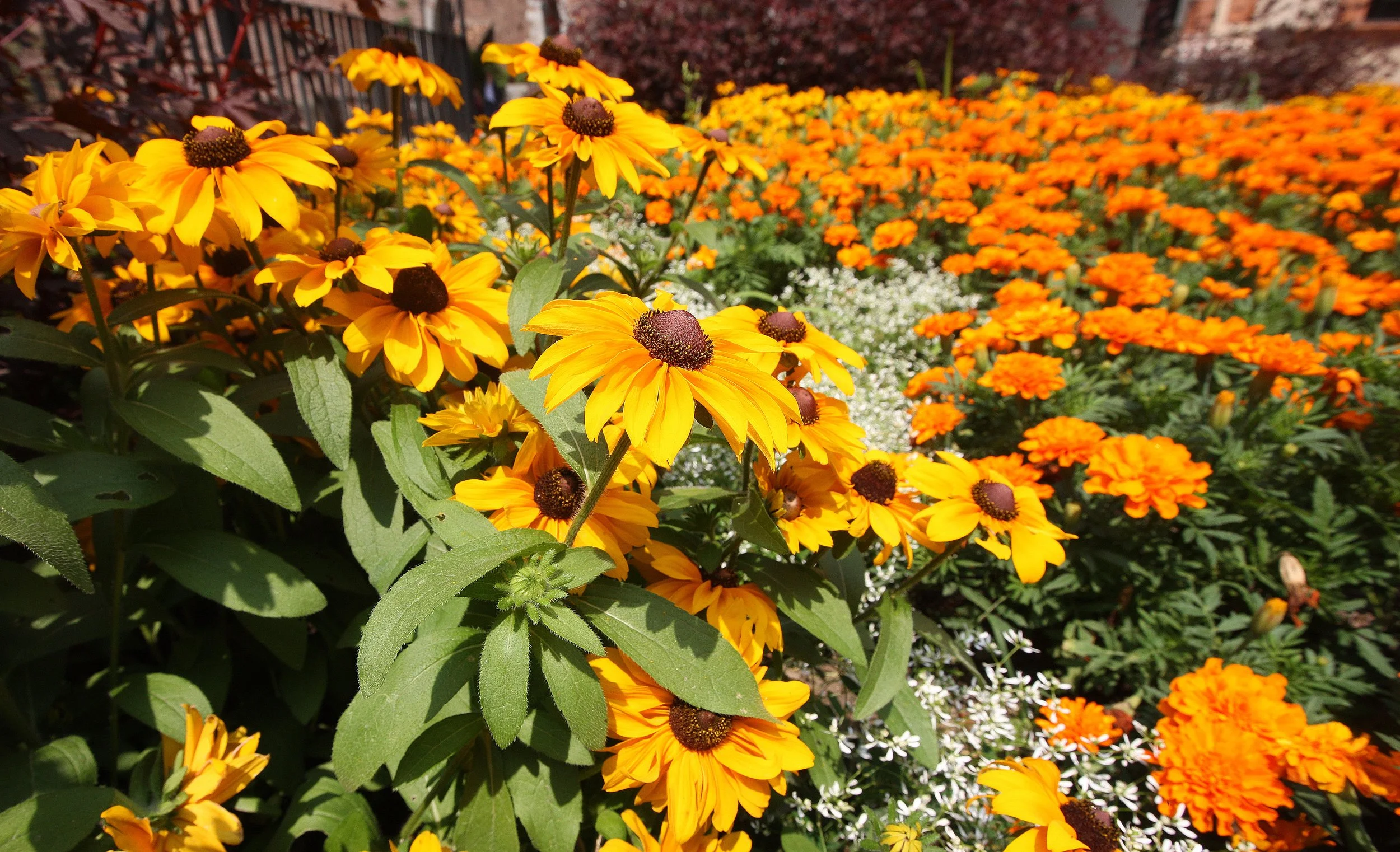 MILAN ITALY - JULY 2013 (15).JPG