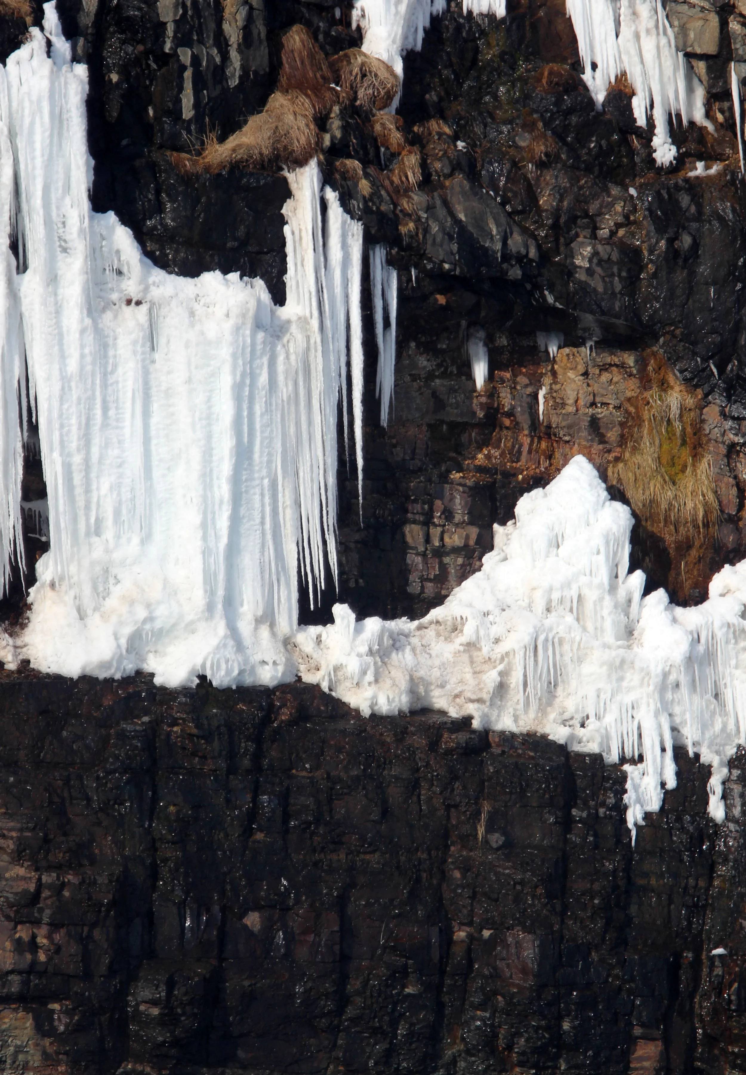 HANASAKI CAPE - NEMURO PENINSULA - HOKKAIDO JAPAN (9).JPG